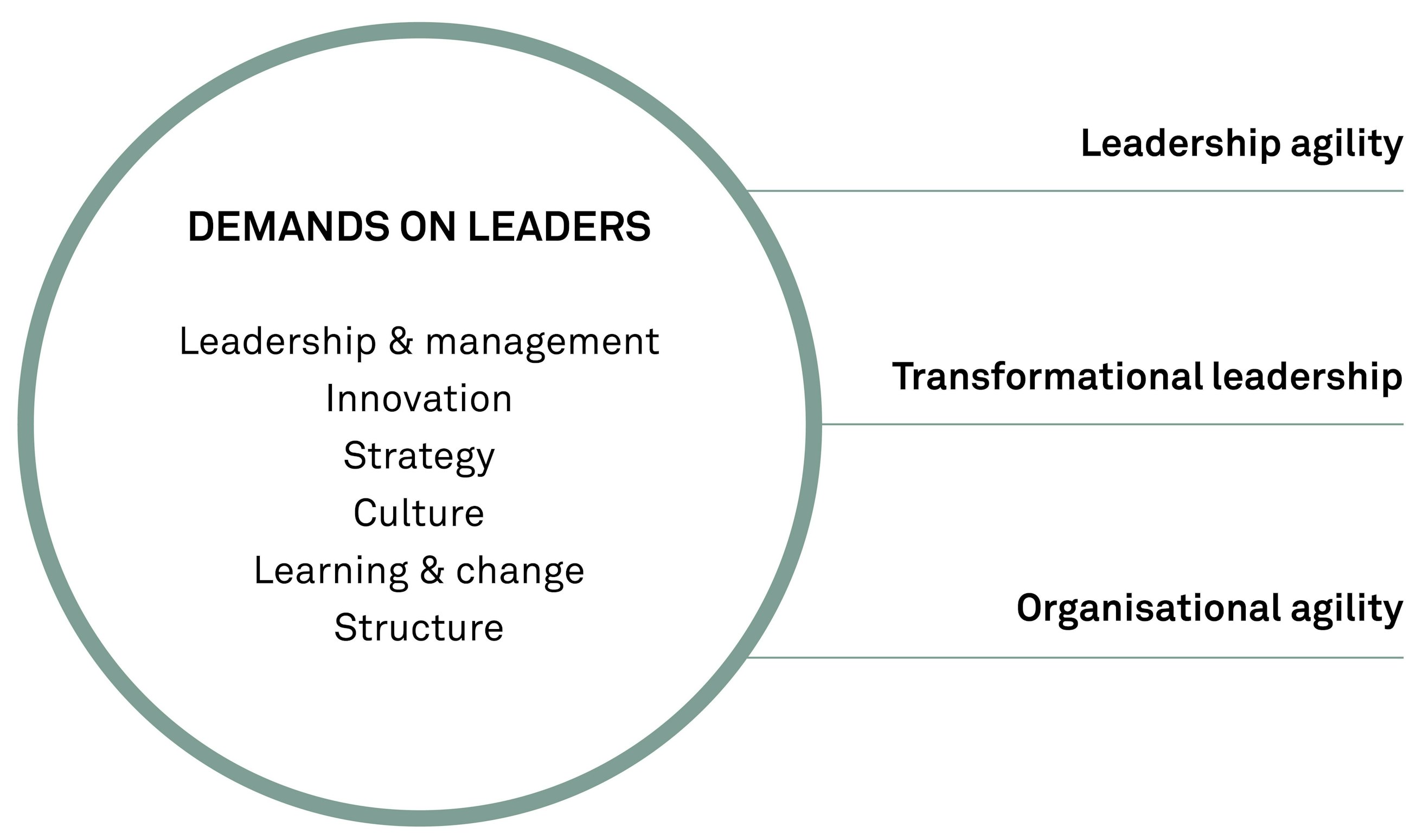 Demand on leaders in a fast chaning world fig 01