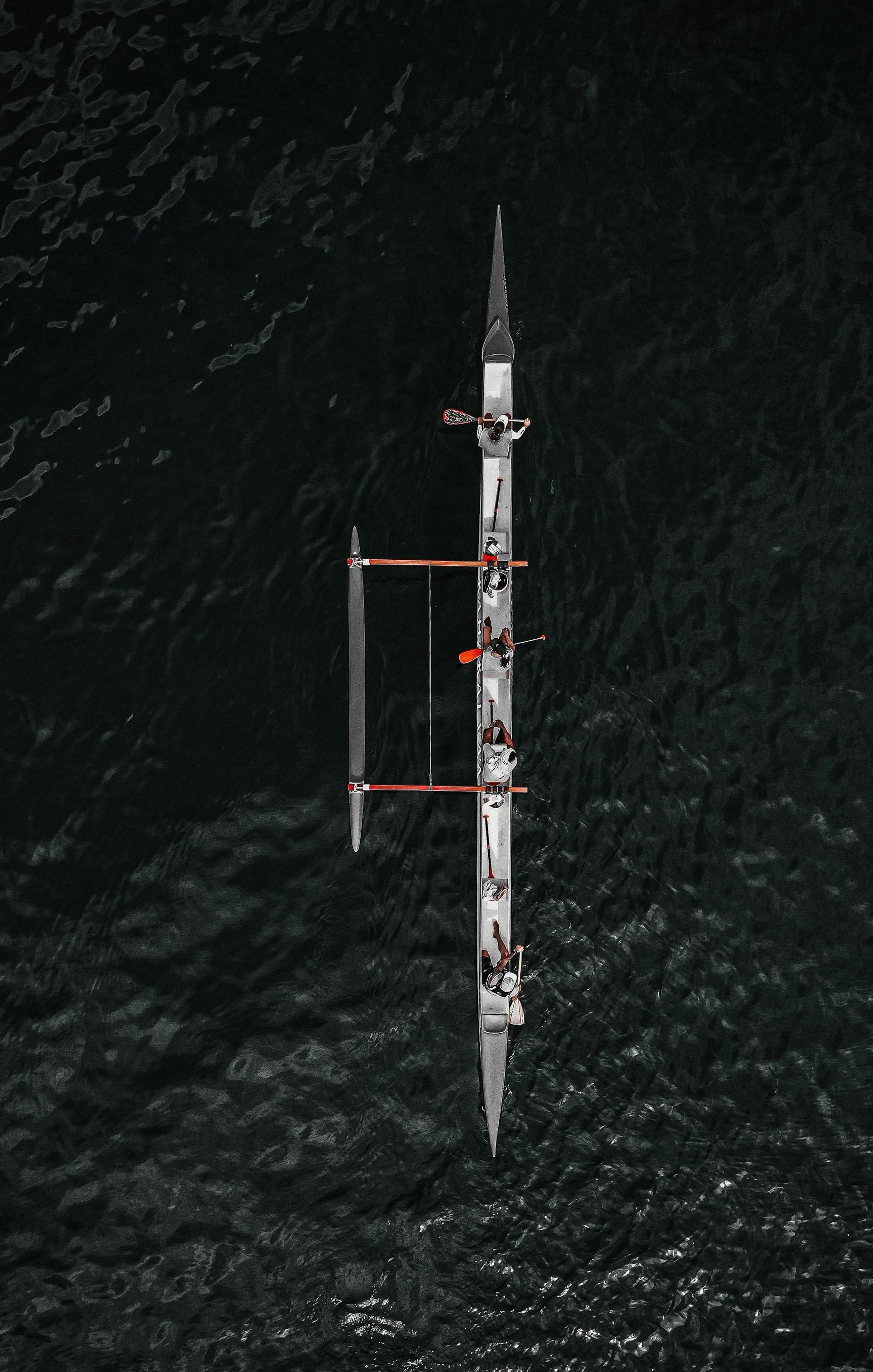 Pexels sergio souza 3772239