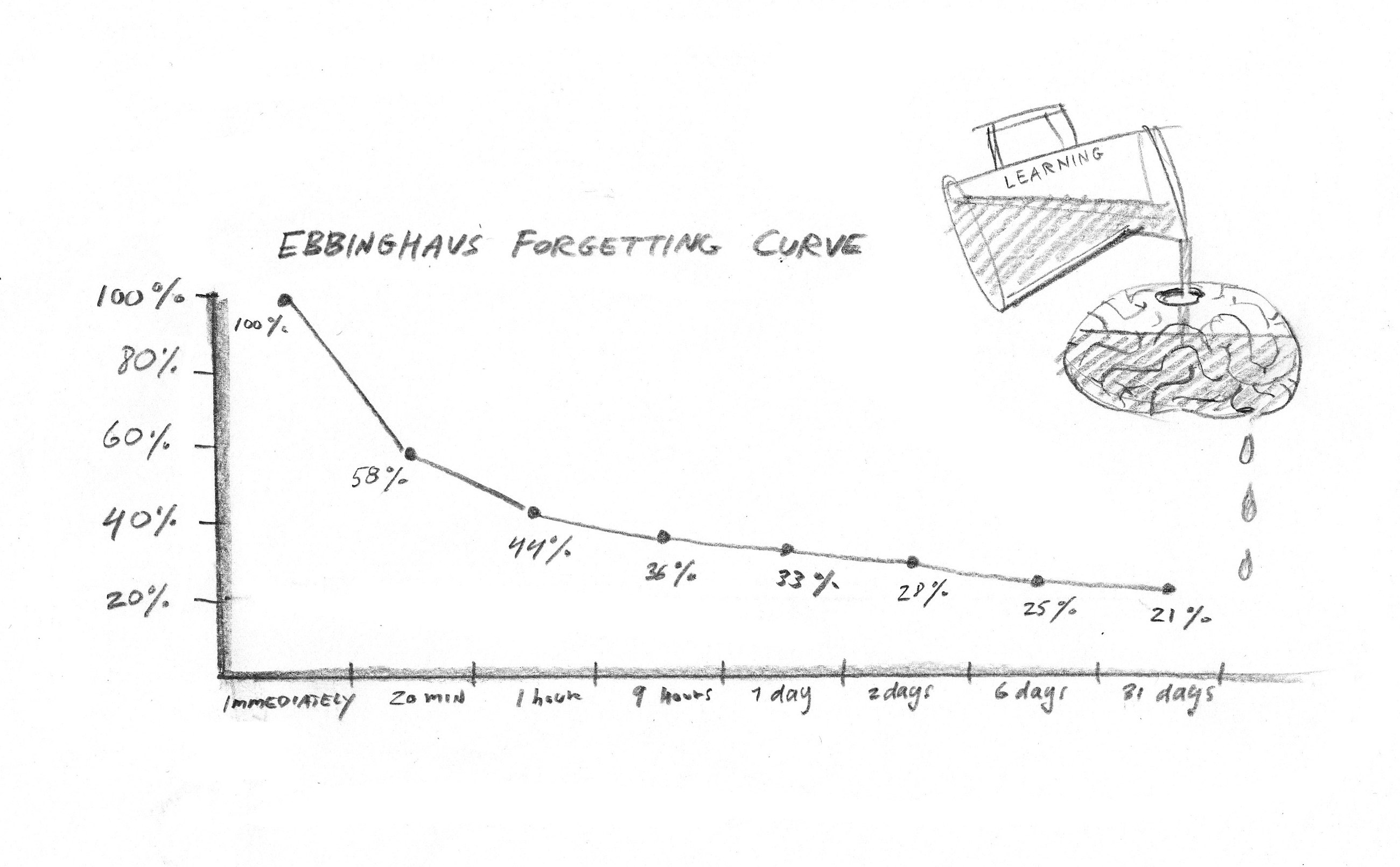 The forgetting curve