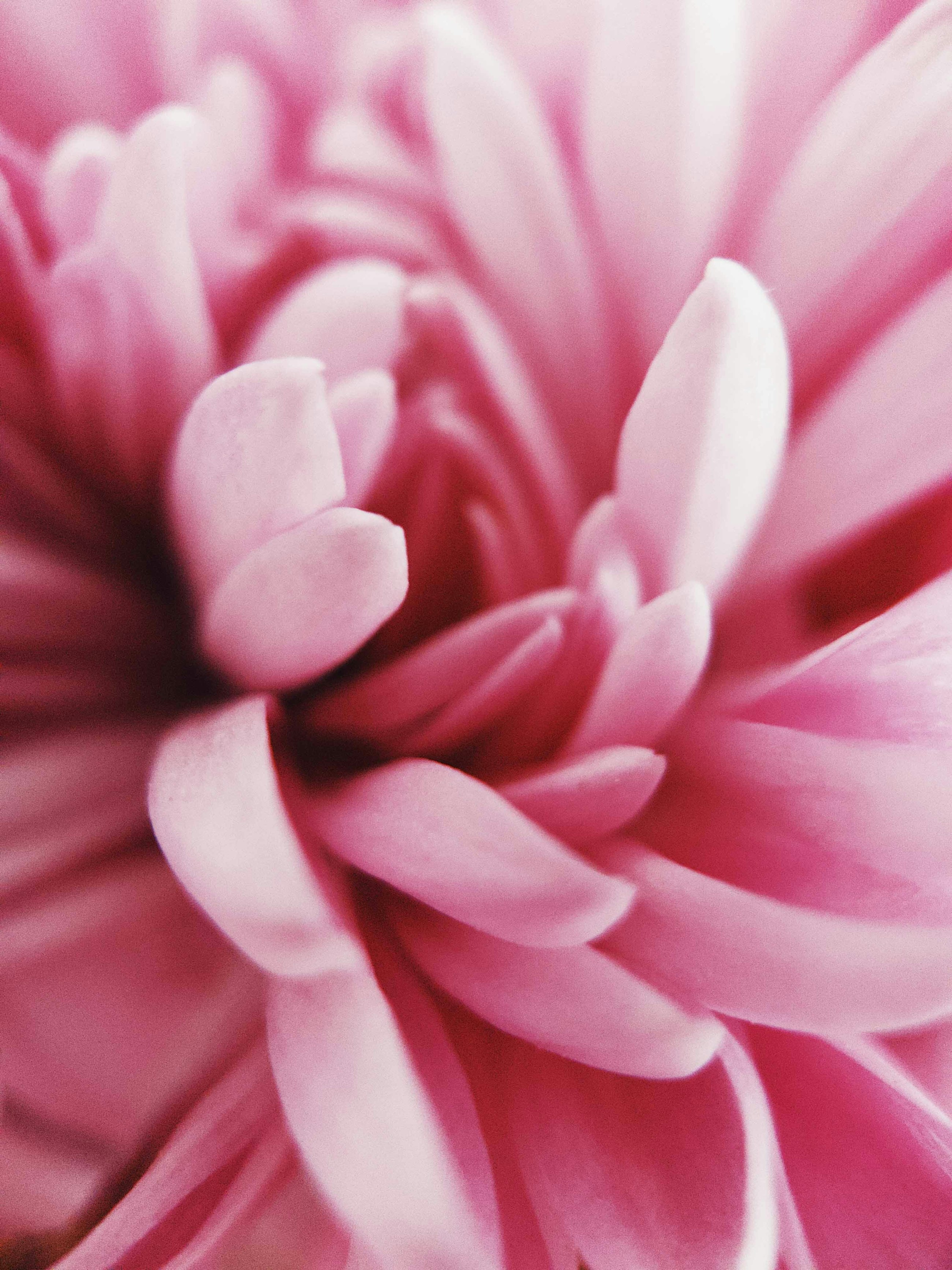 juno jo sDY0c0m7V7I unsplash