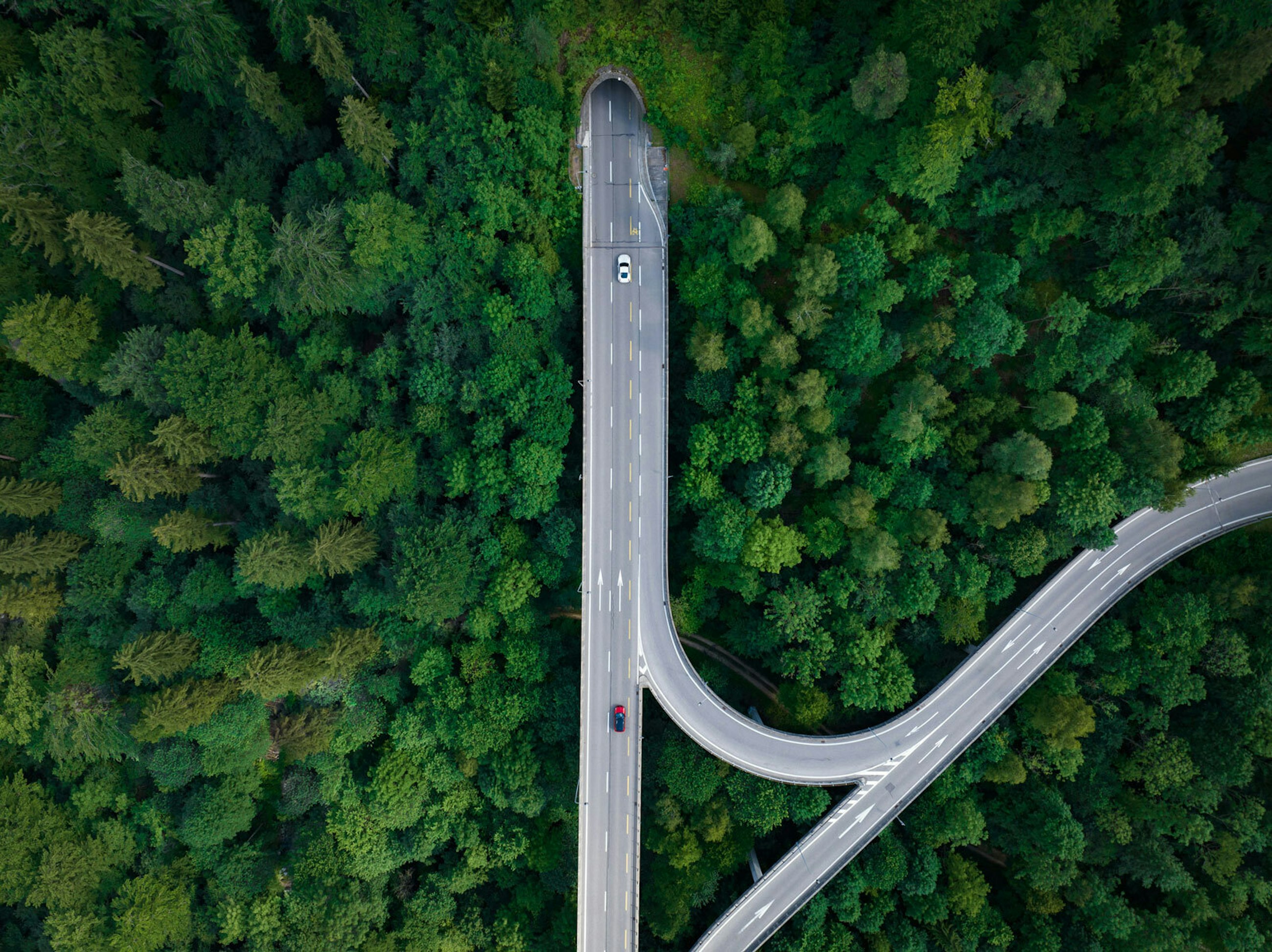 Nathan queloz R Nz Vu Jq Bv Sg unsplash