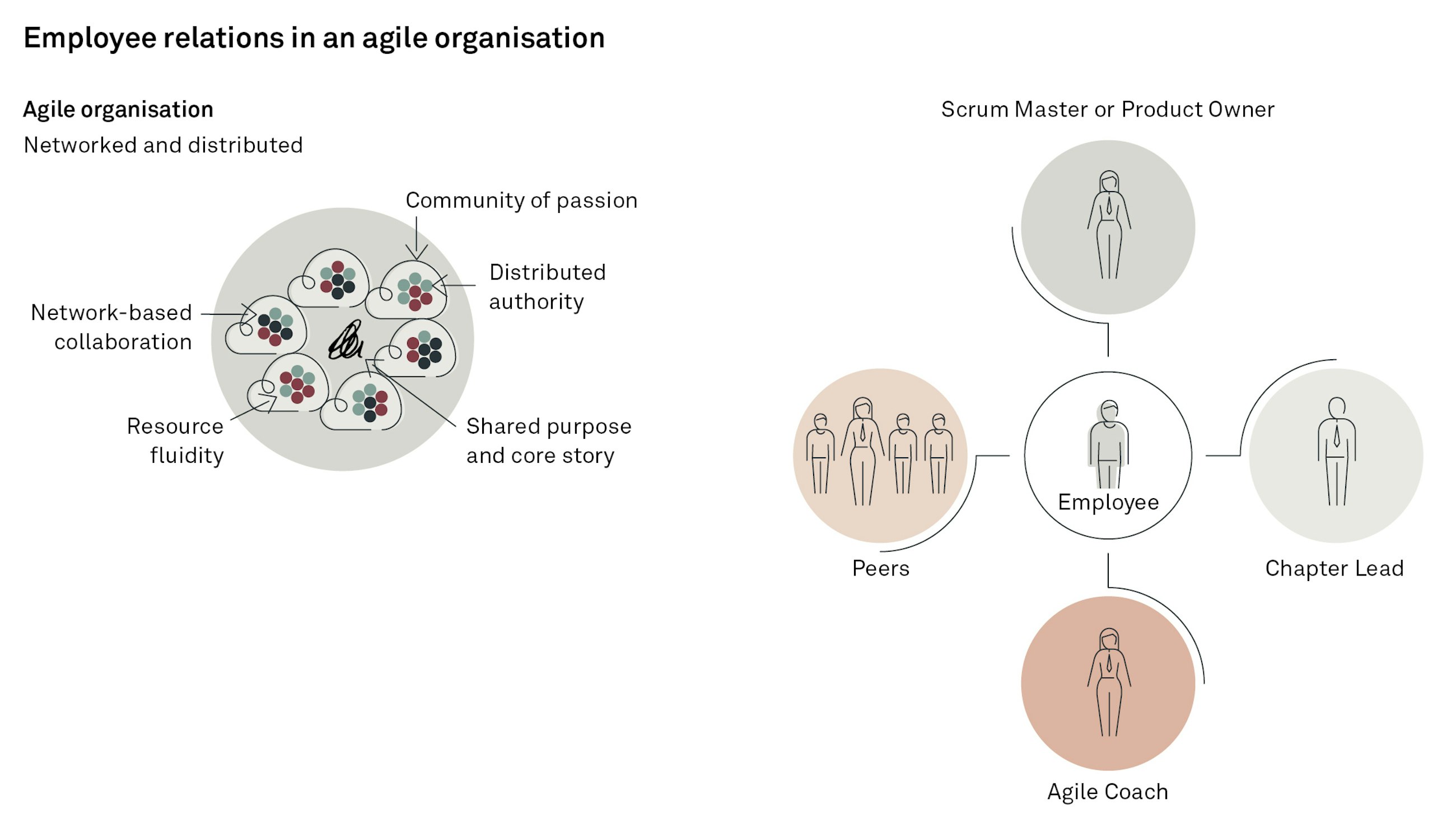 Agile transformations in organisations fig03