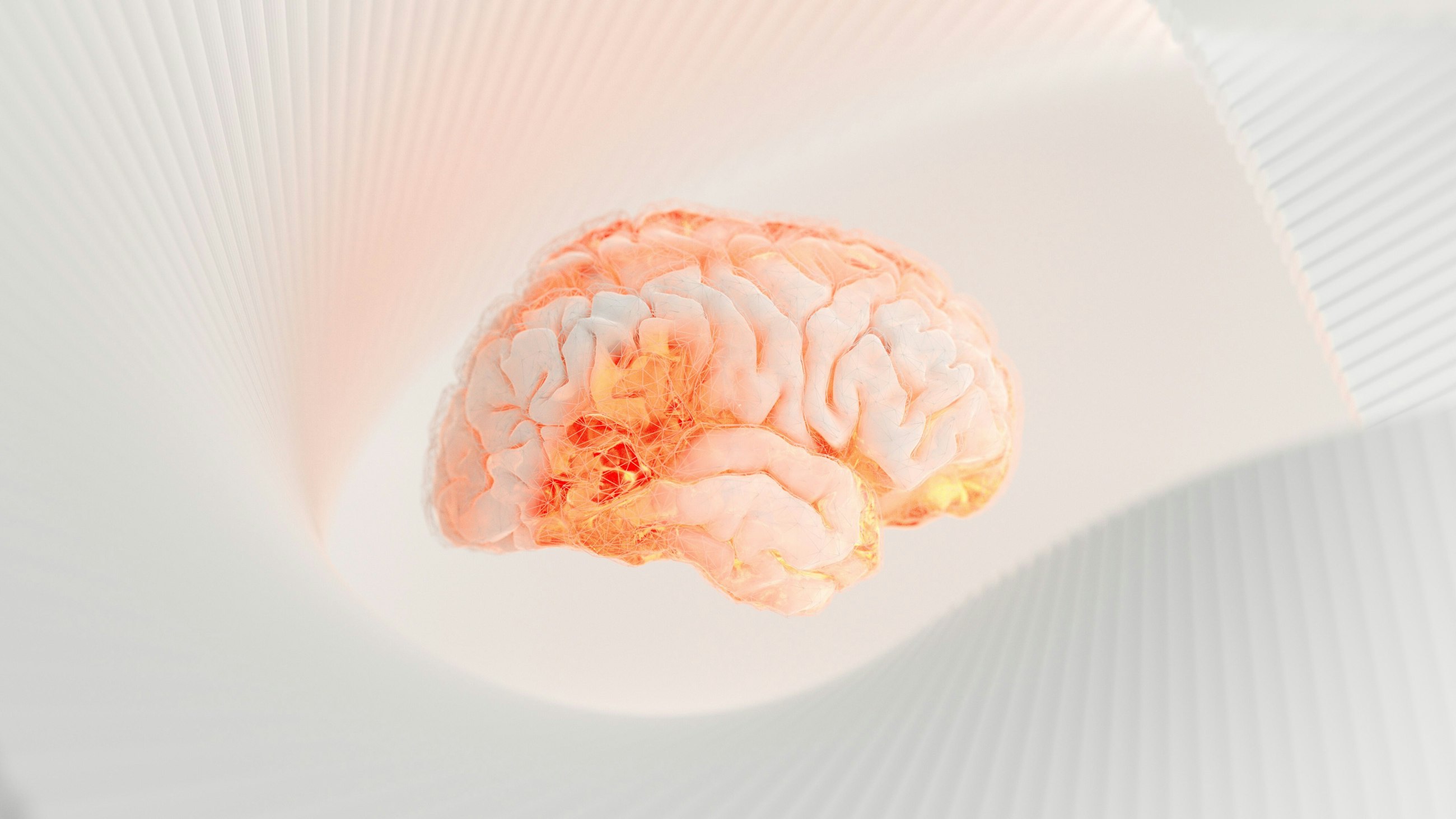 Kommers 9 A9 Tc X Esy6c unsplash