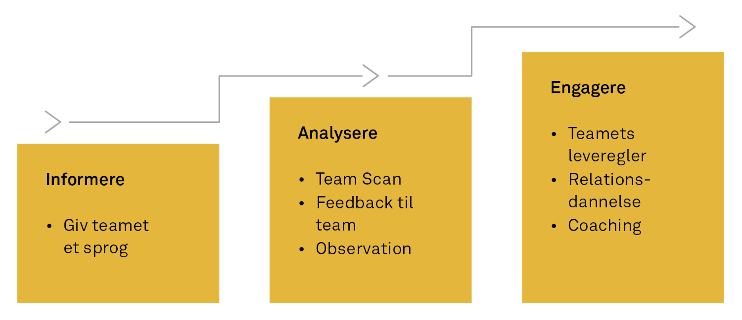 Det høflige team FIG02