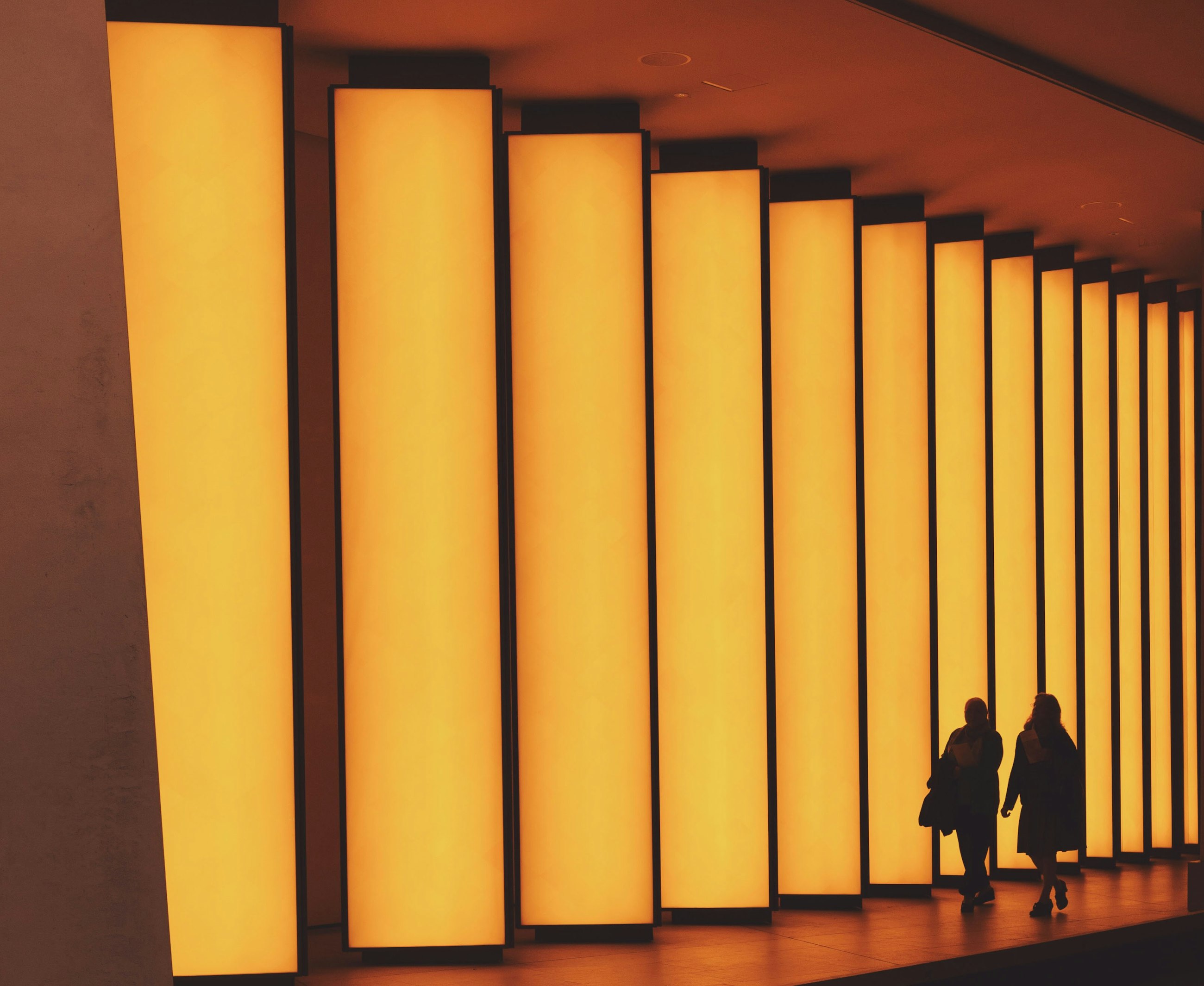 Alessio lin Zhu Knd5 Vp V4 unsplash