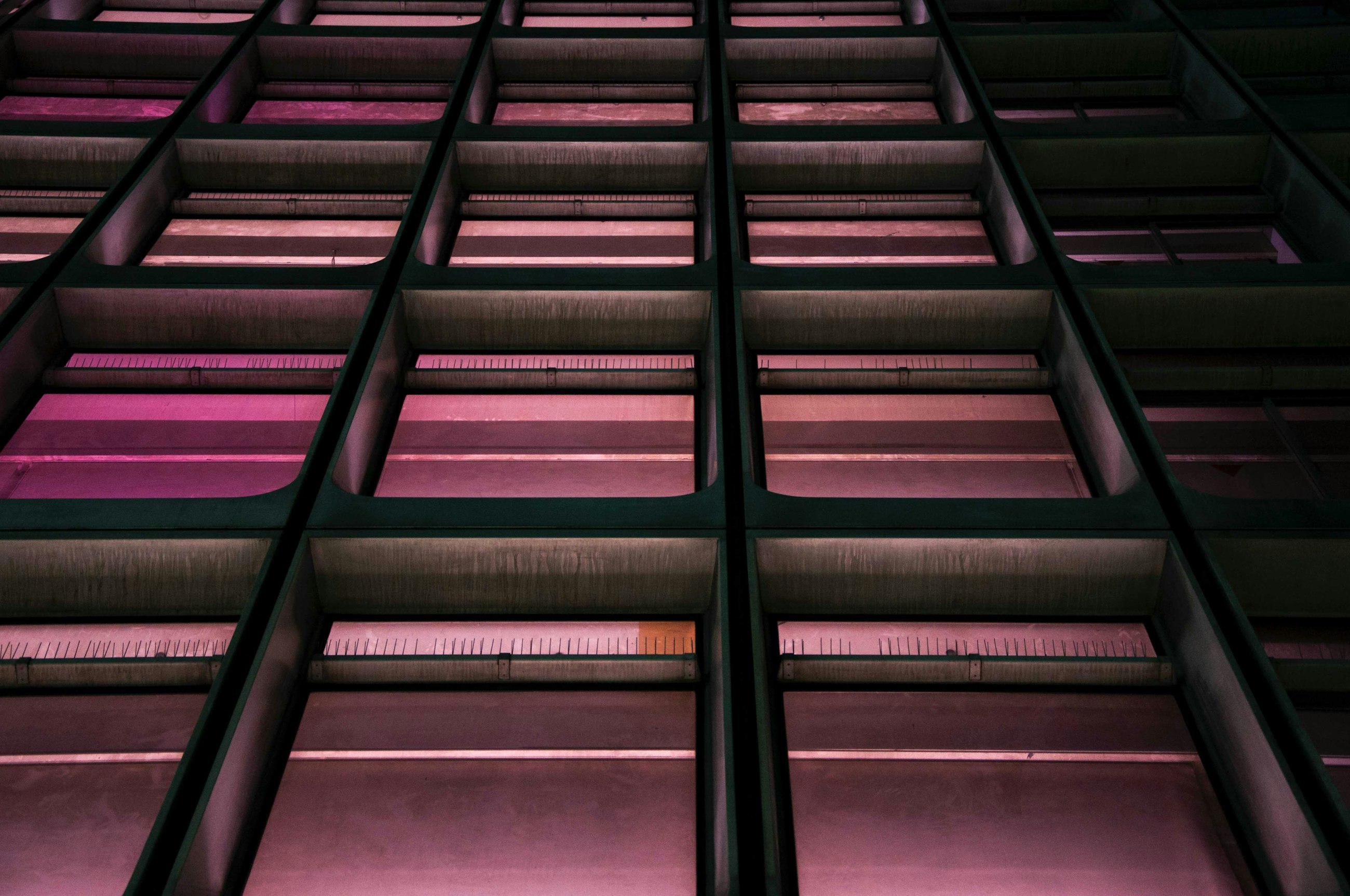 michel-catalisano-95Ogutn_35g-unsplash