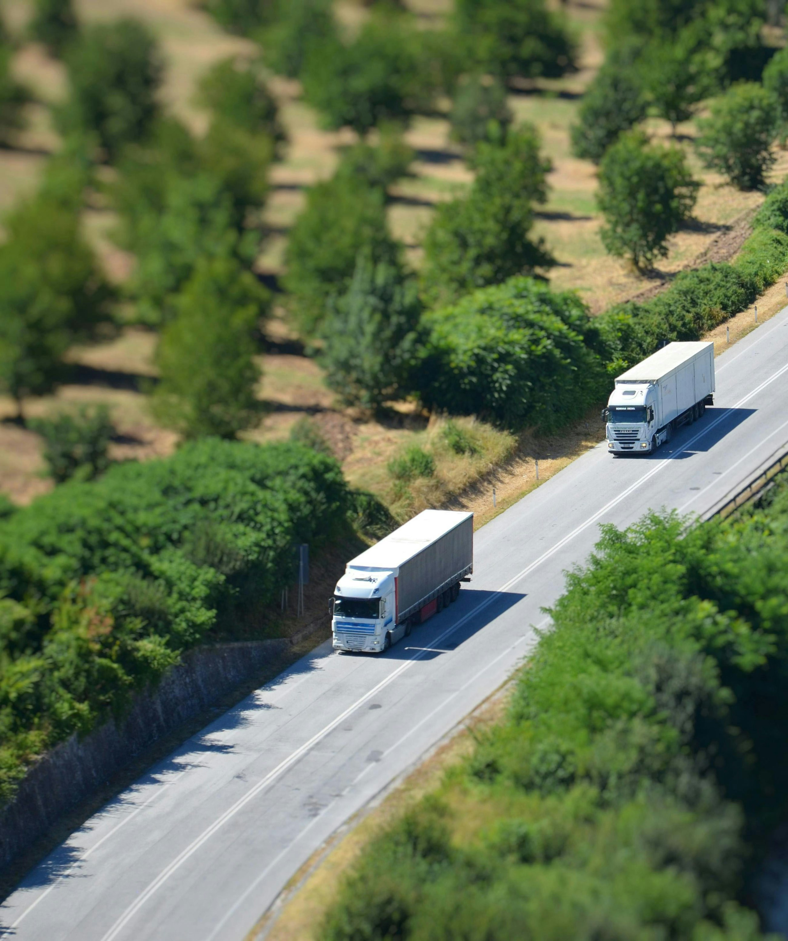 Pexels photograph 19009379