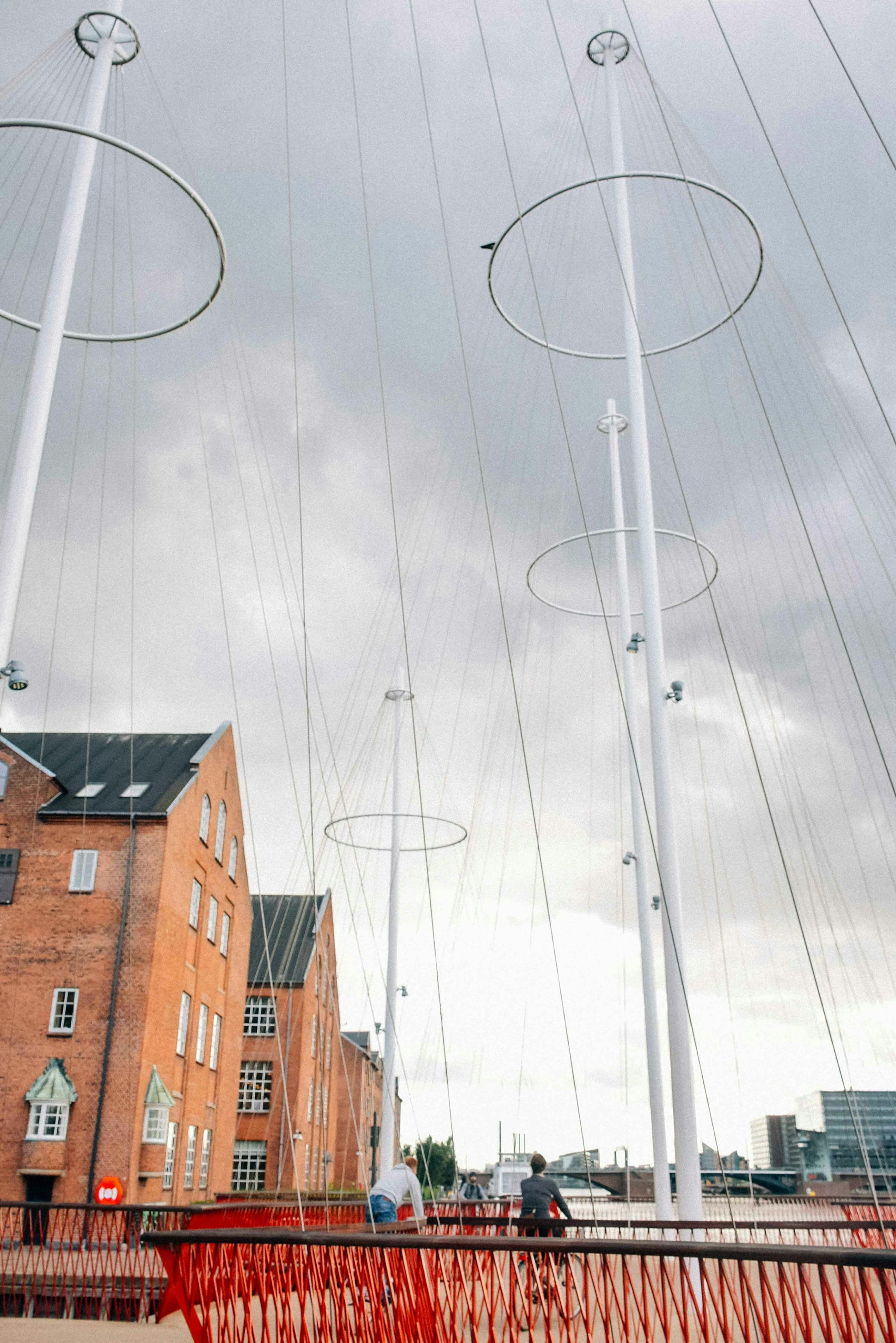 Rminedaisy DI 6 E Lc V Oyk unsplash red