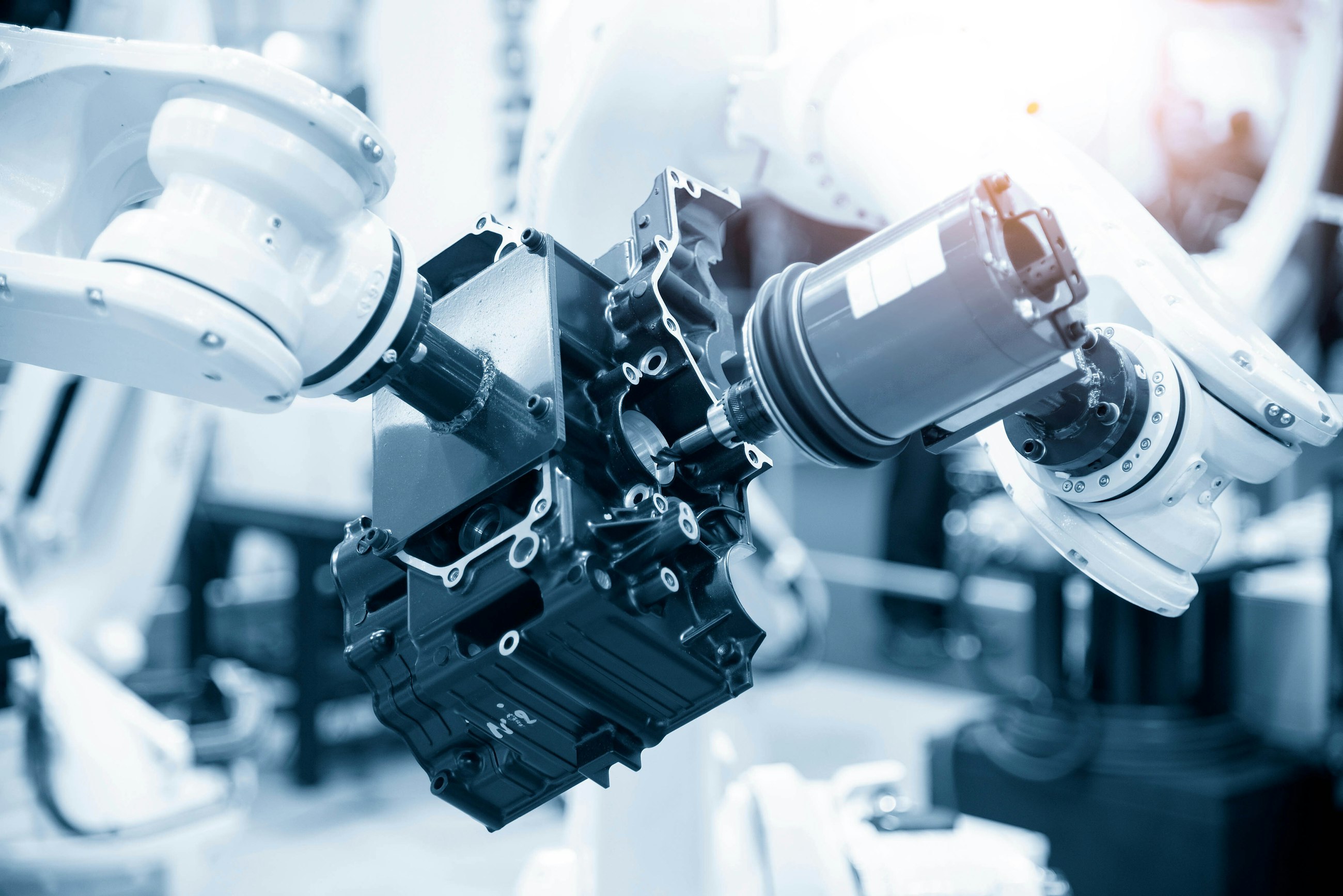 AdobeStock_302468889