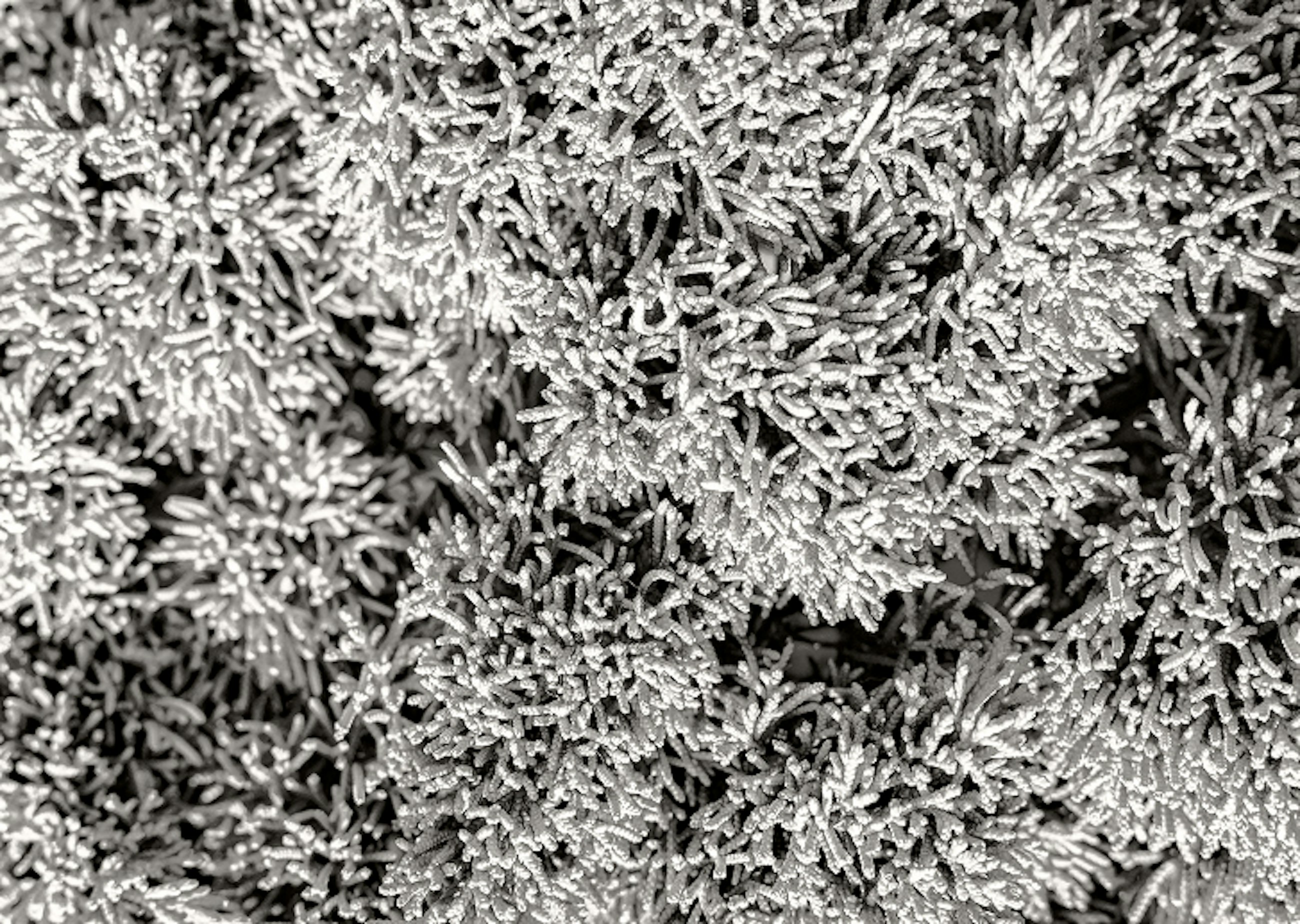 Article header 31