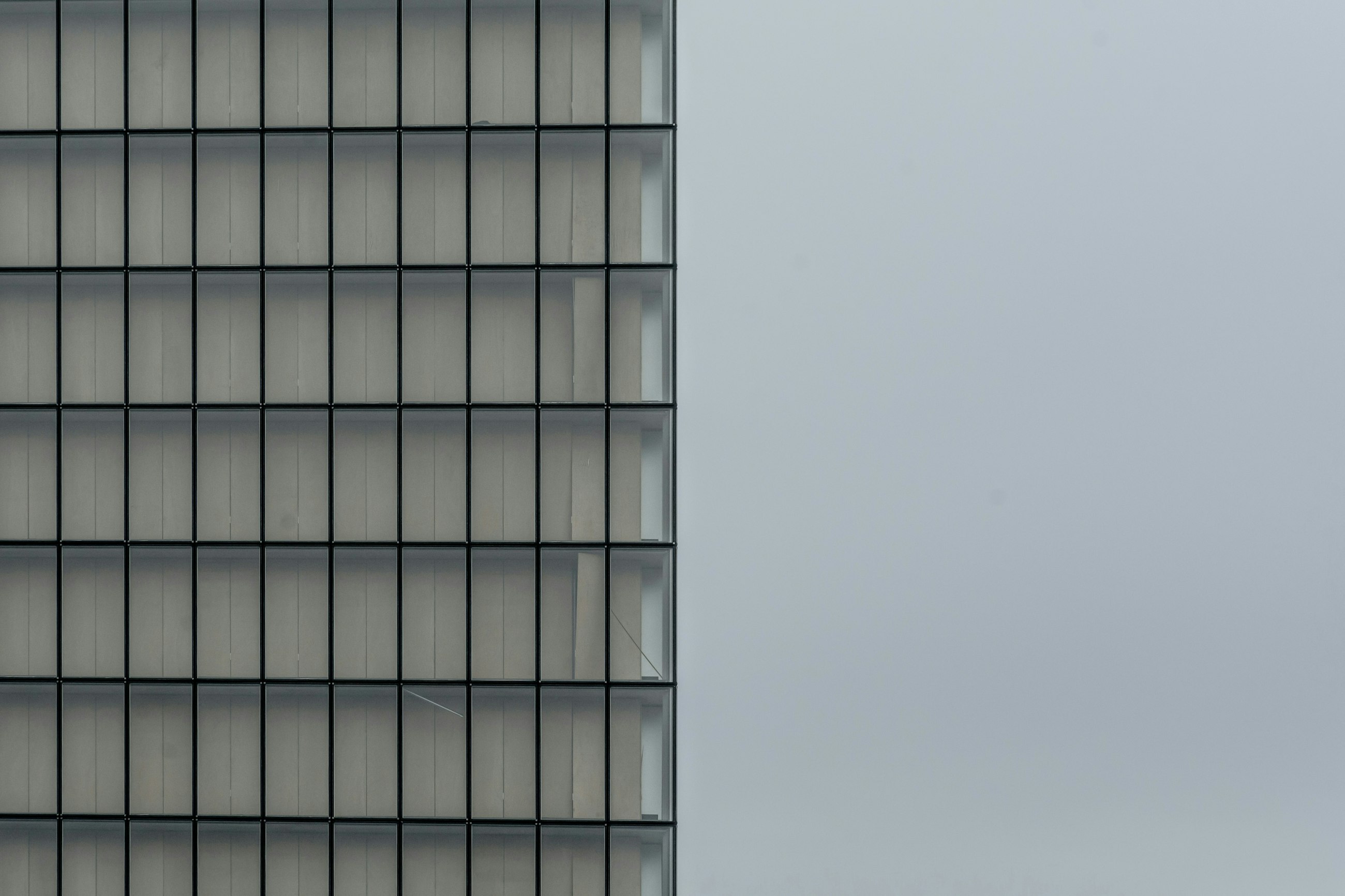 Nicolas hippert i Nt TN xu PLE unsplash