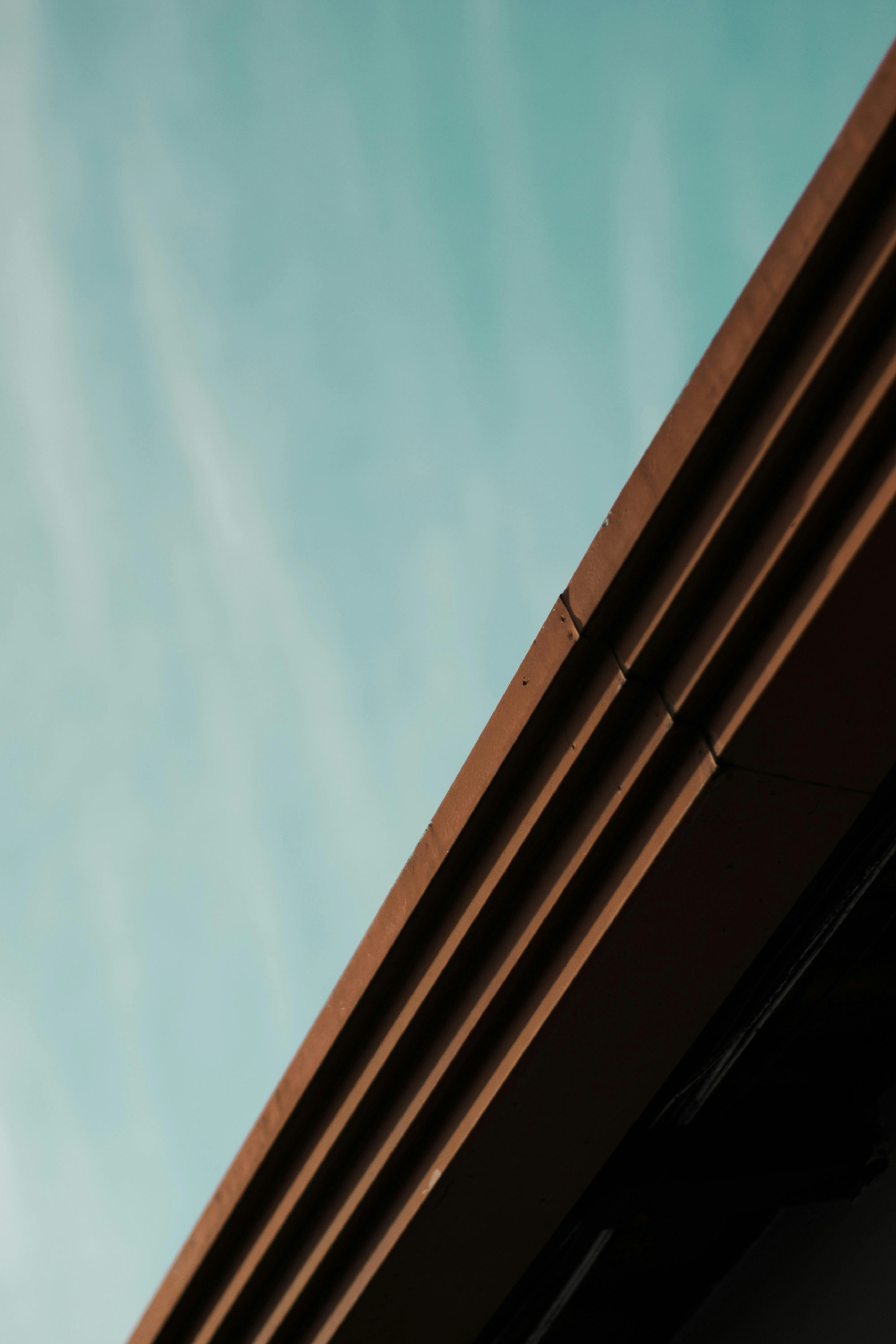 Pexels matheusnatan 2530629