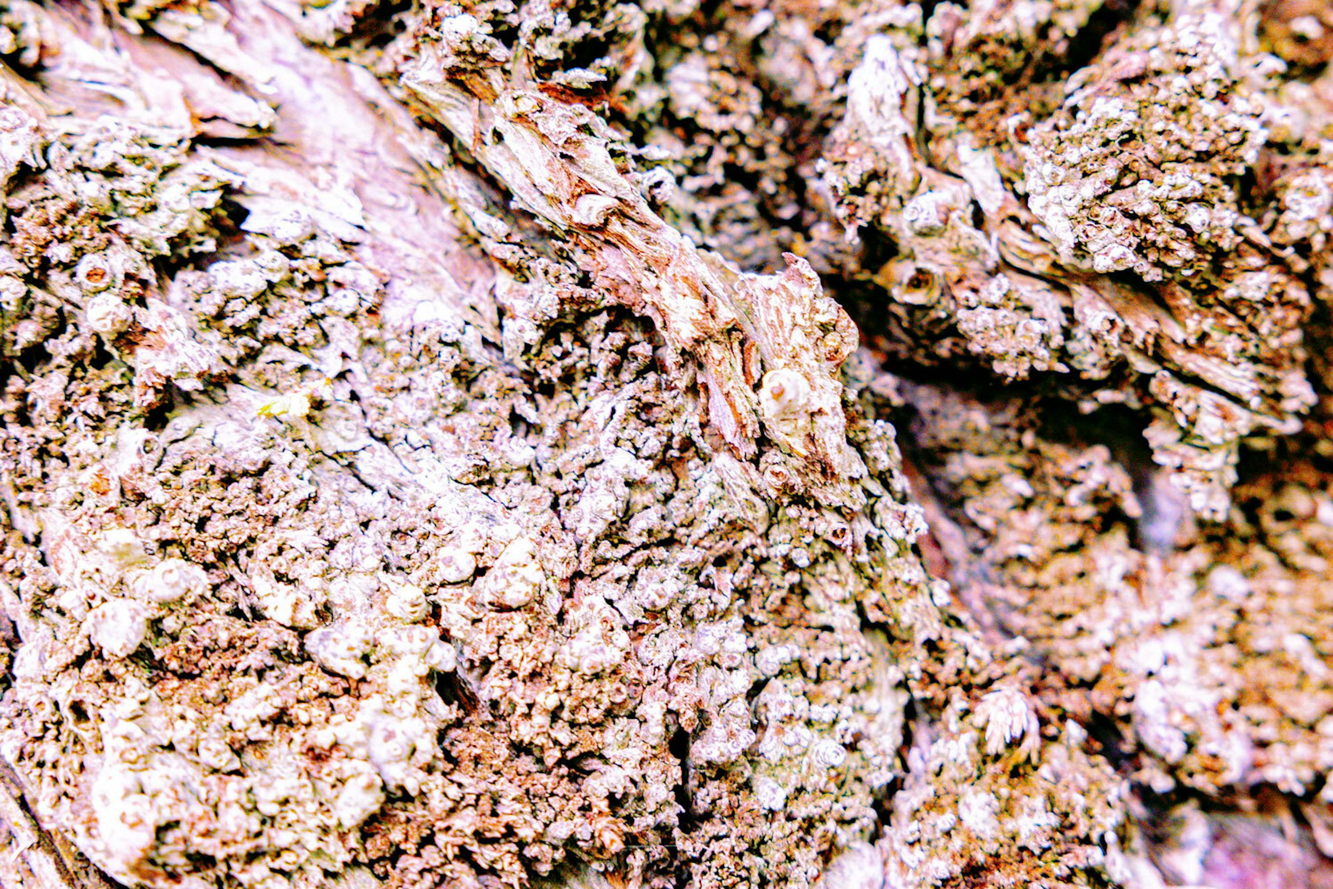 250324 Sustainability ID CPH 012