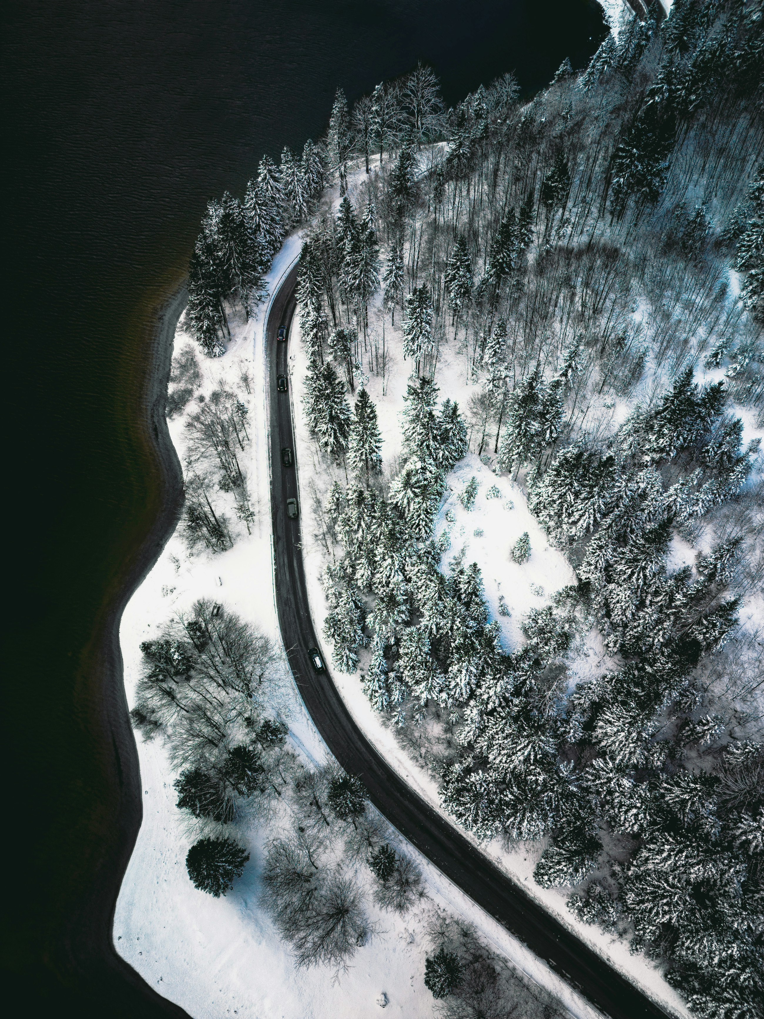 Gabriele merlino oiys4 L Lf O5 M unsplash 1