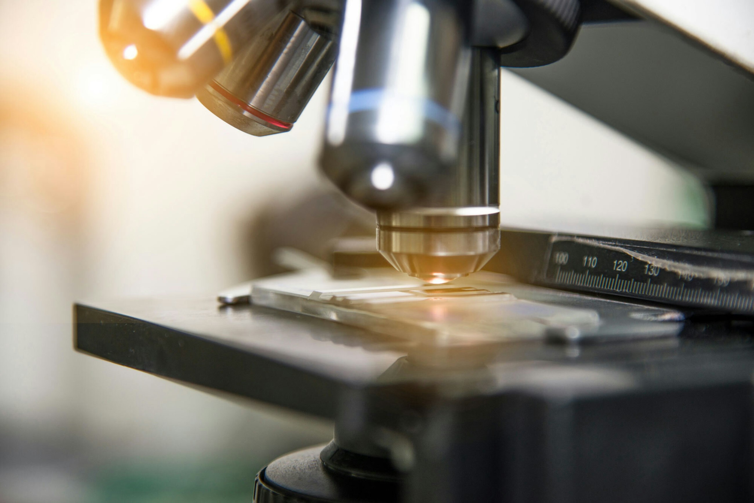 Adobe Stock 200496331