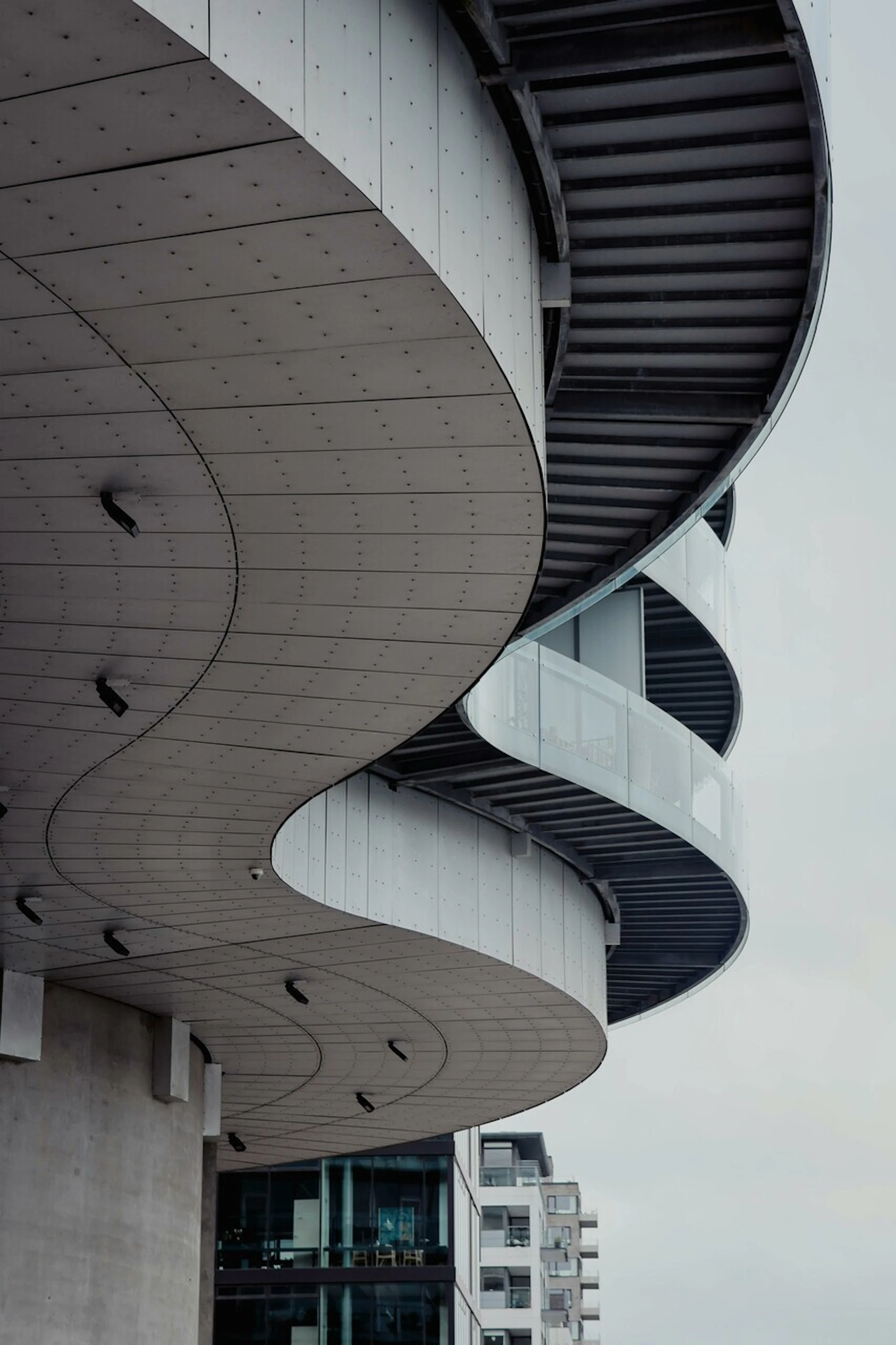 large-pexels-lexi-lauwers-1431940-34287515