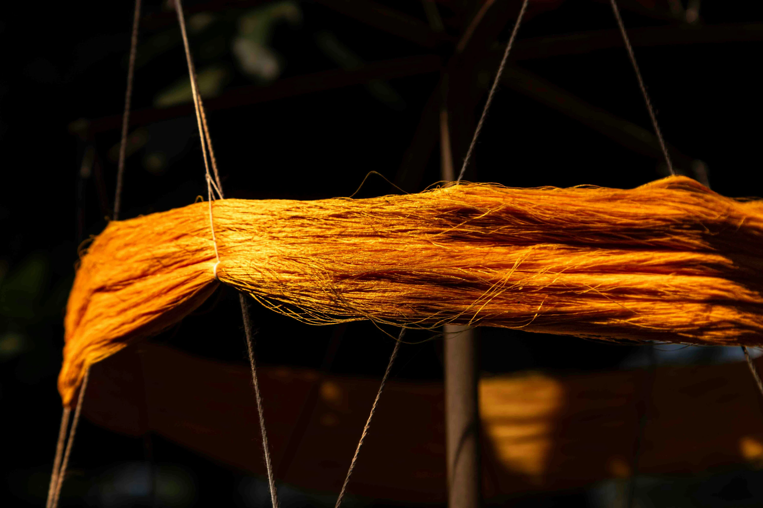 Bernd dittrich U Uu XVK7gv7 Q unsplash