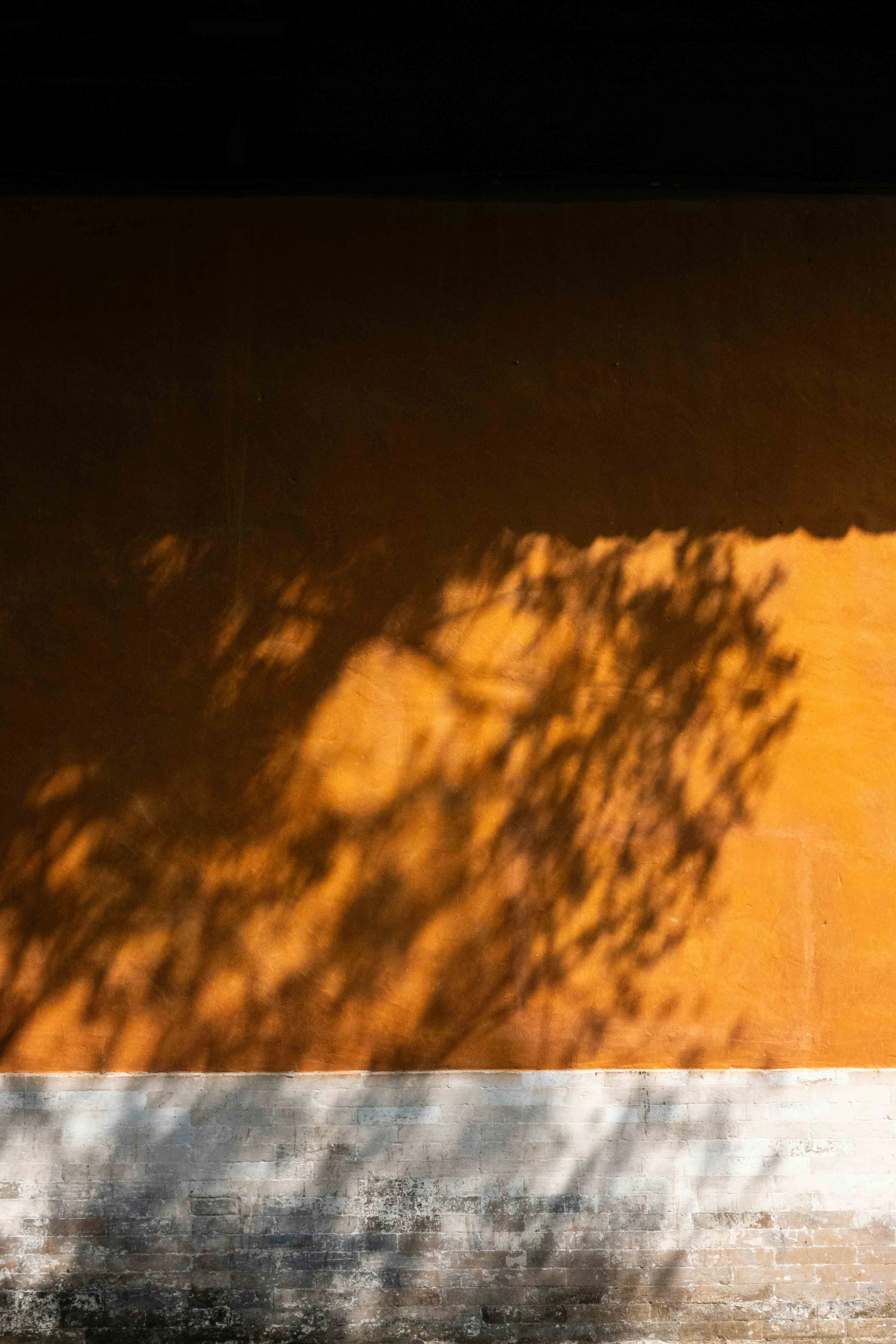 Ting chen 5 V Qzf37 B0 unsplash