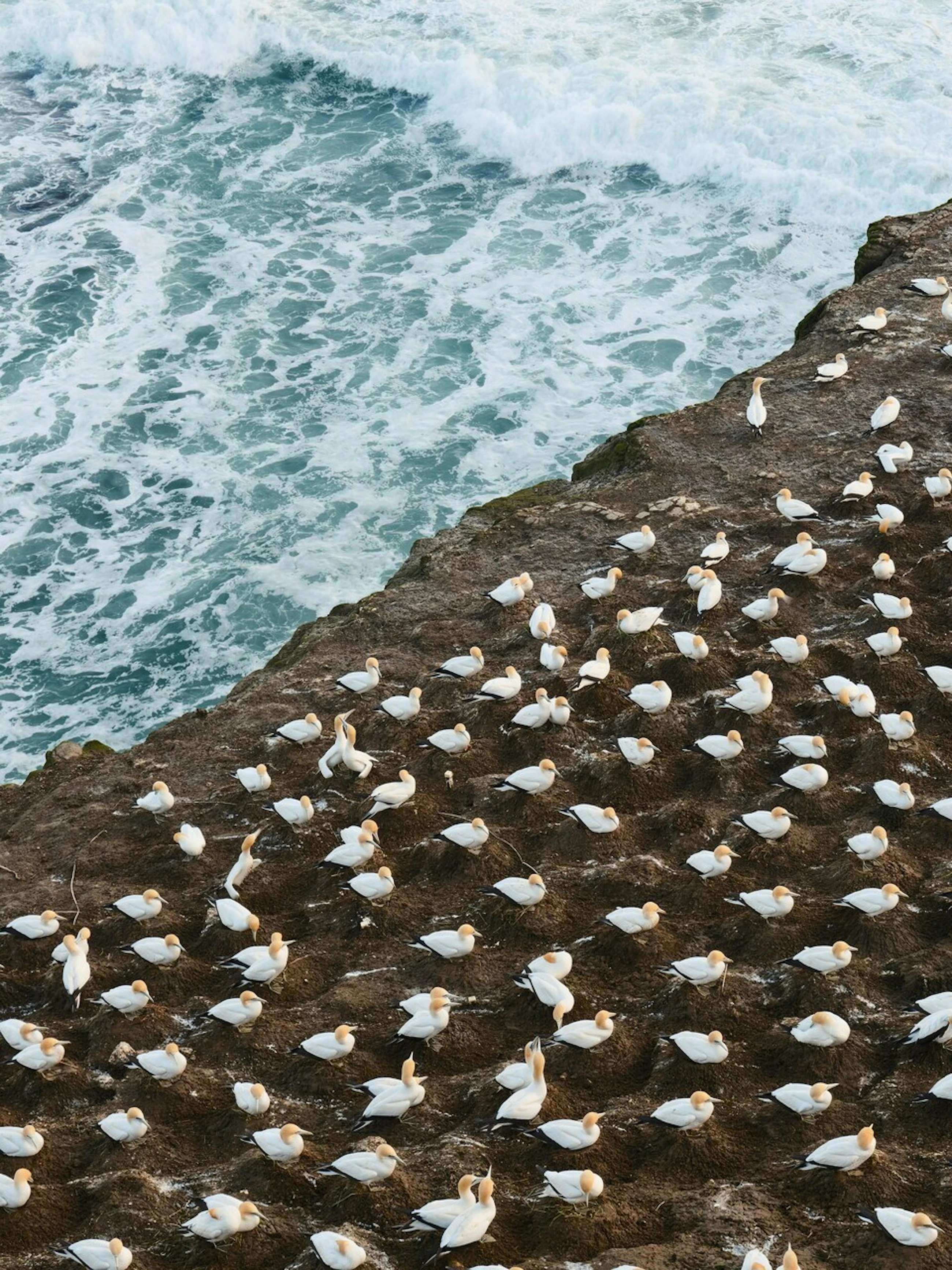 Large stephen h Xvu8 Oi U Je I0 unsplash