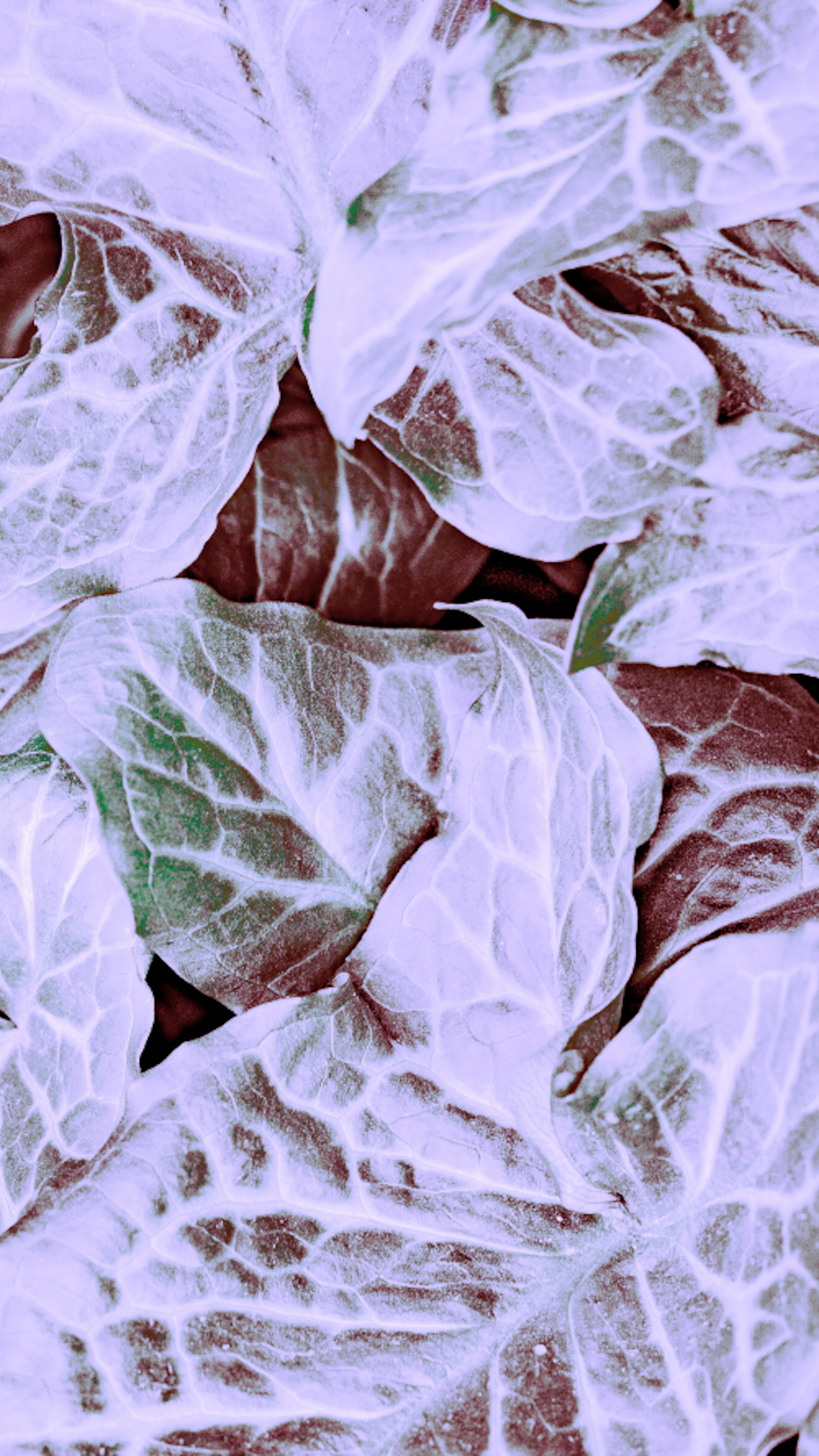 250324 Sustainability ID CPH 009