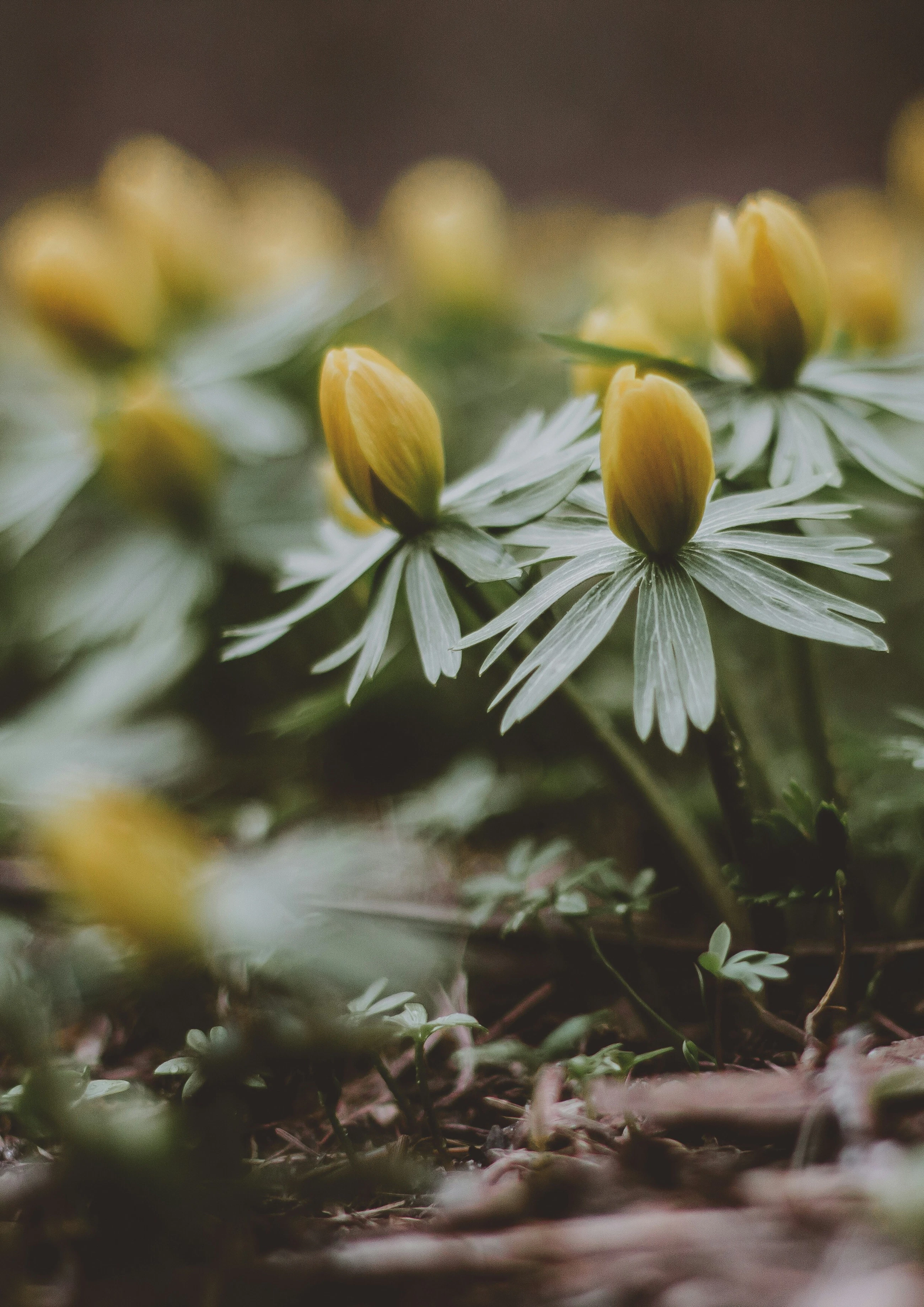 Nic berlin r7ipk T6 K Jg unsplash