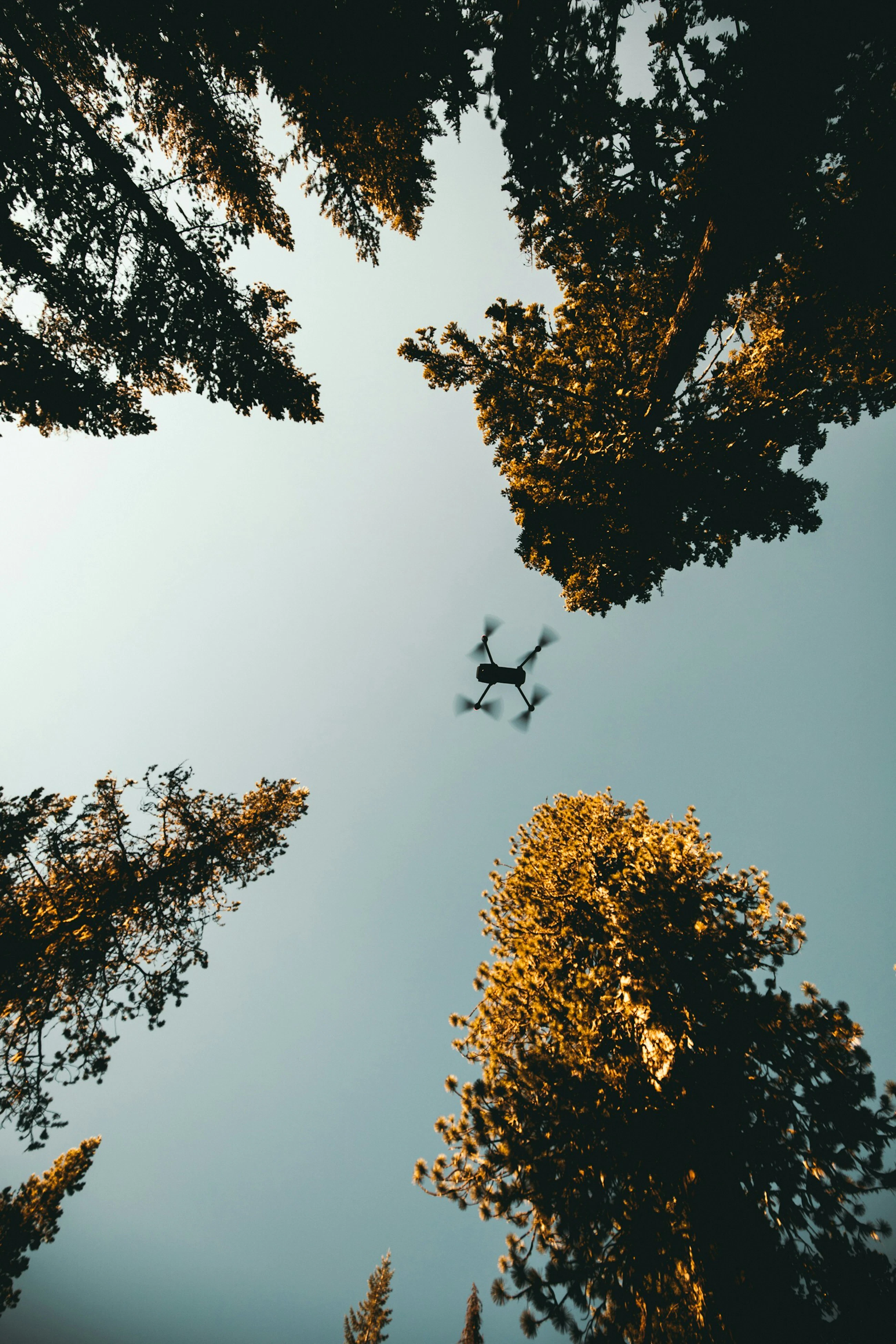 Kyle loftus Ve7iq U Nk Gs A unsplash