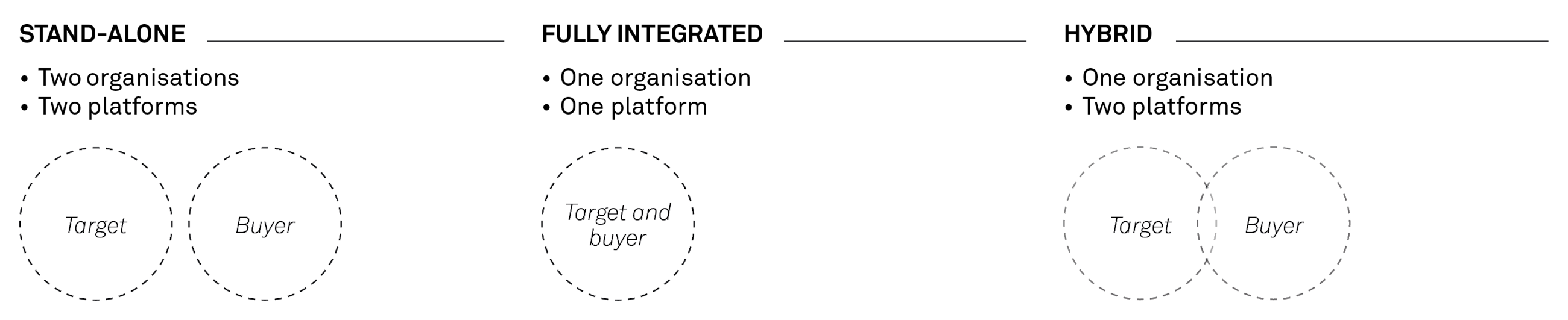 260202 FIG 1 Realising value through IT post merger integration ANVG