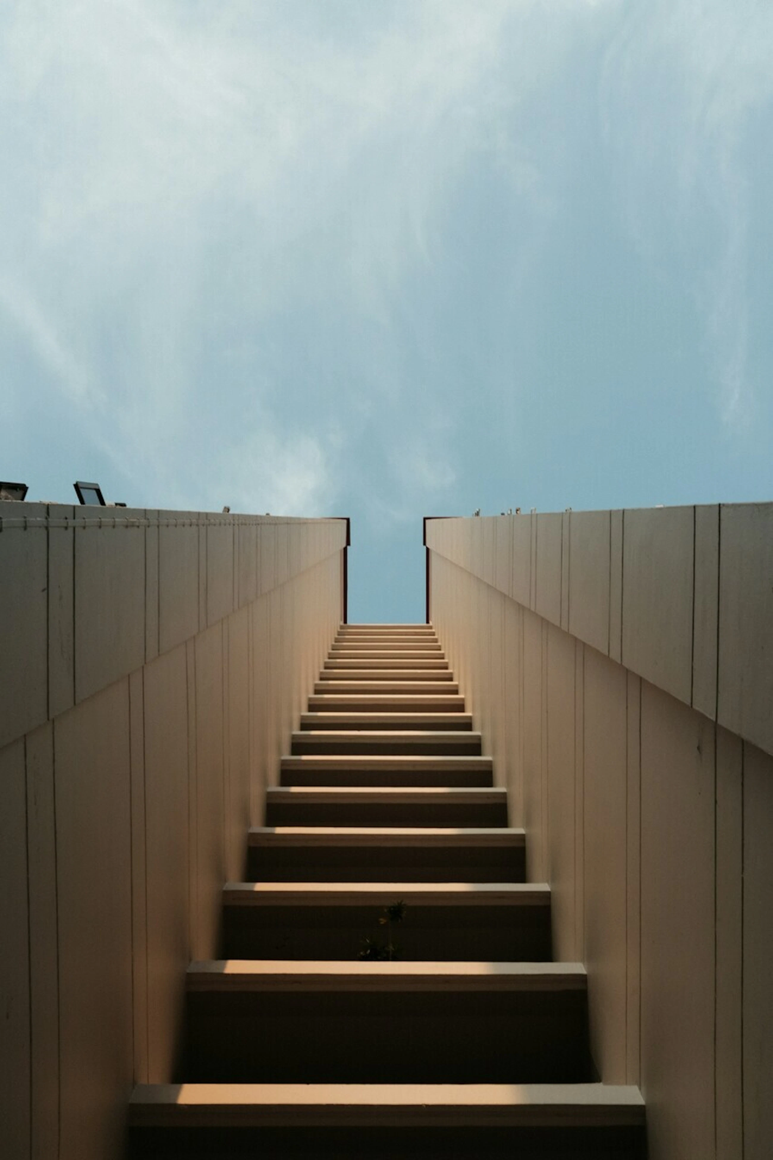 Large icarus yang OPT Tddw Y Lzs unsplash