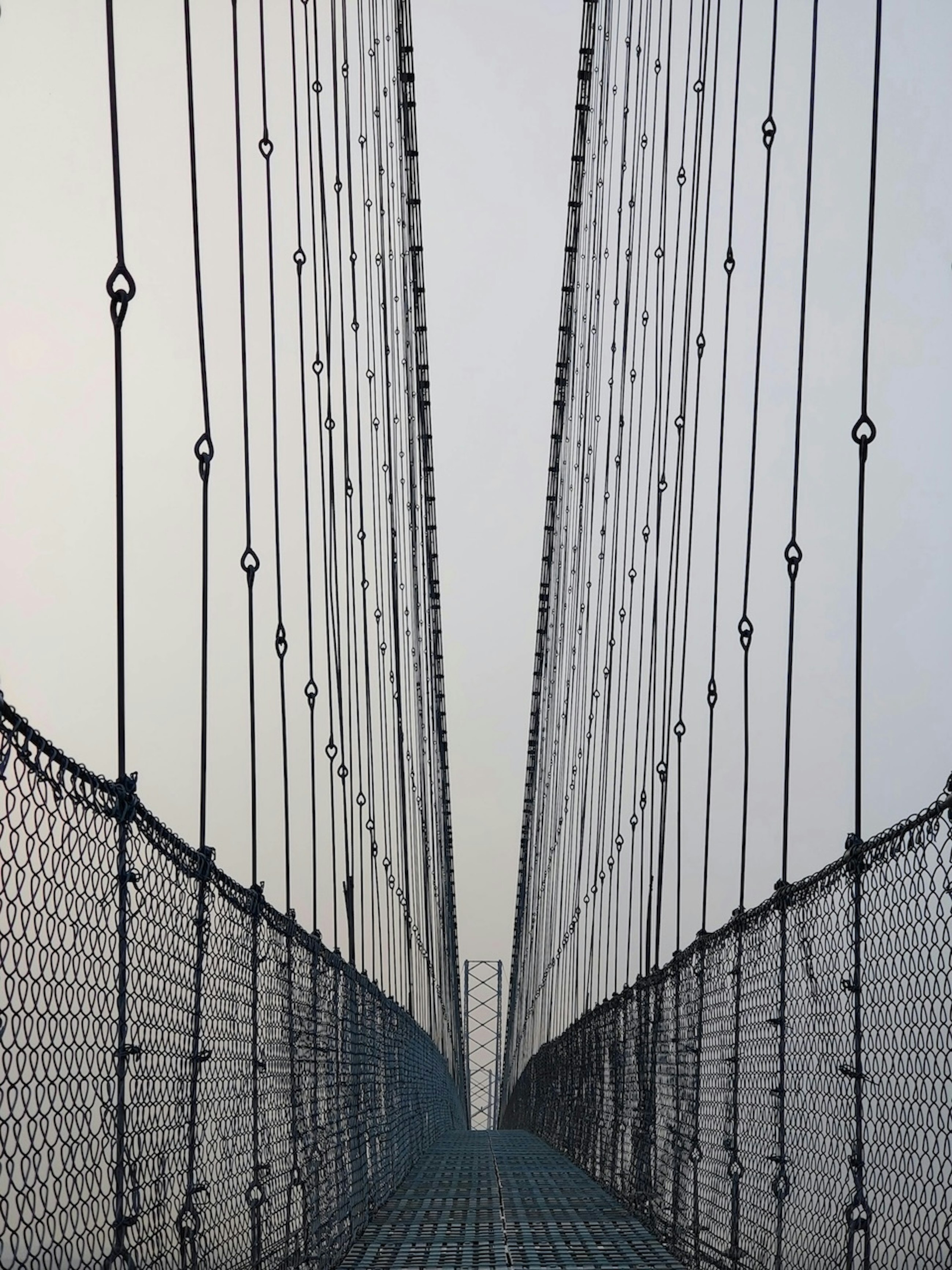 Pexels anshu 35588545