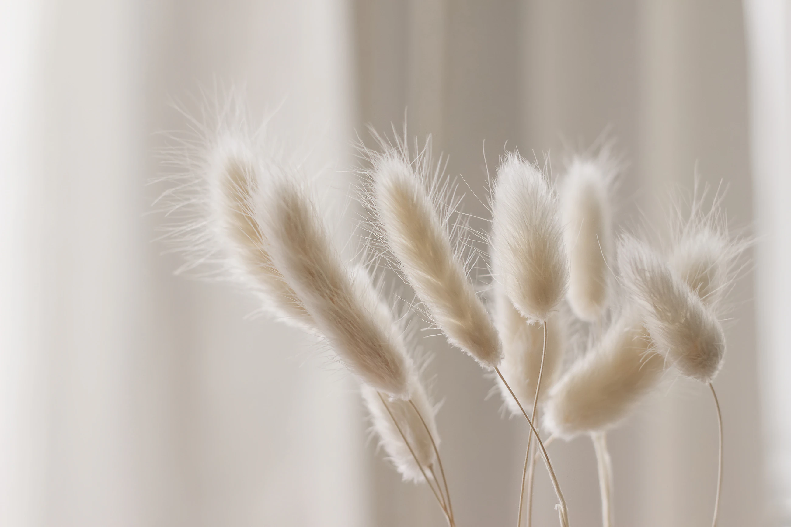 Adobe Stock 399738754