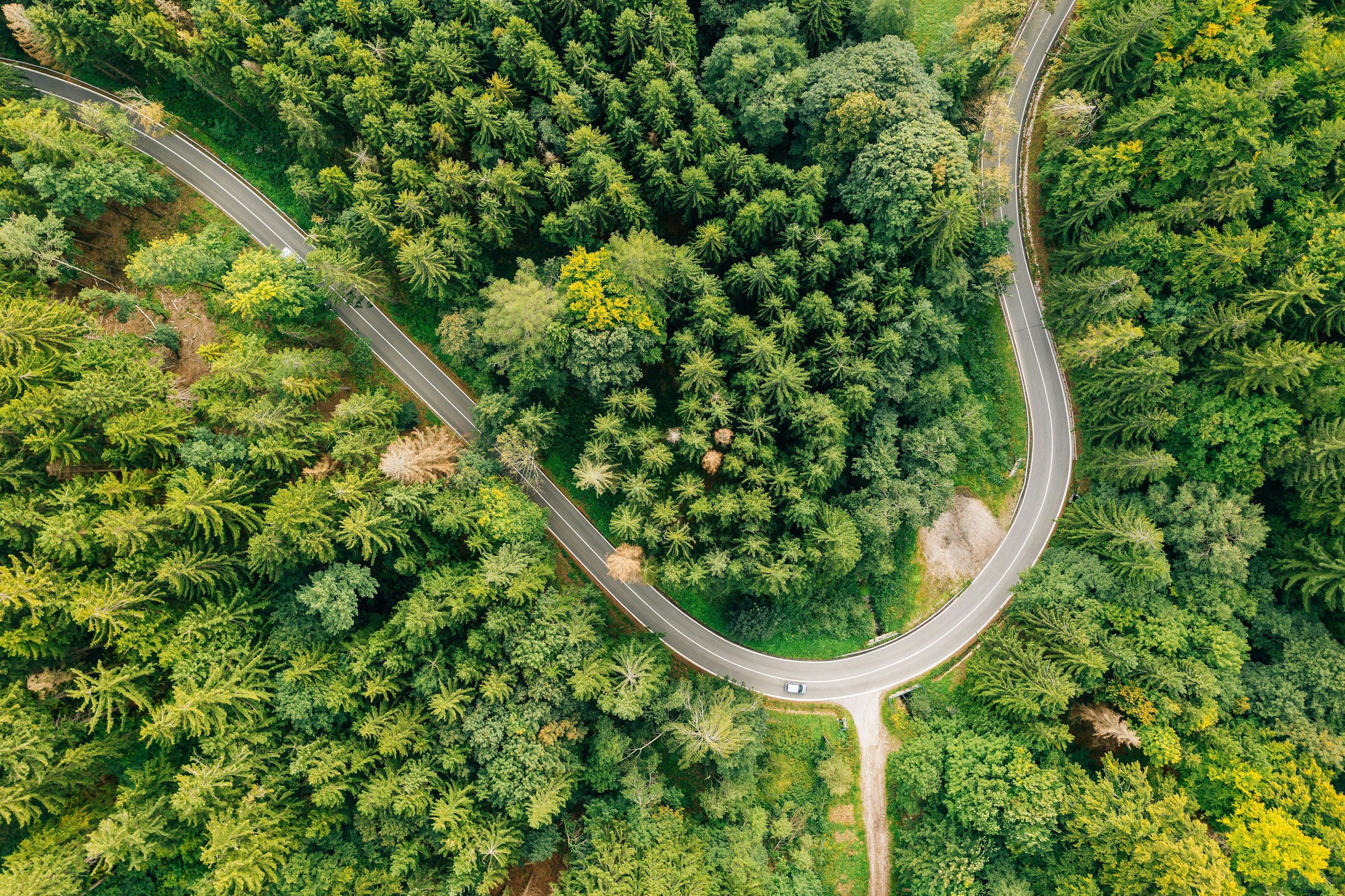 Marcin jozwiak 8t KZF Uj C99c unsplash