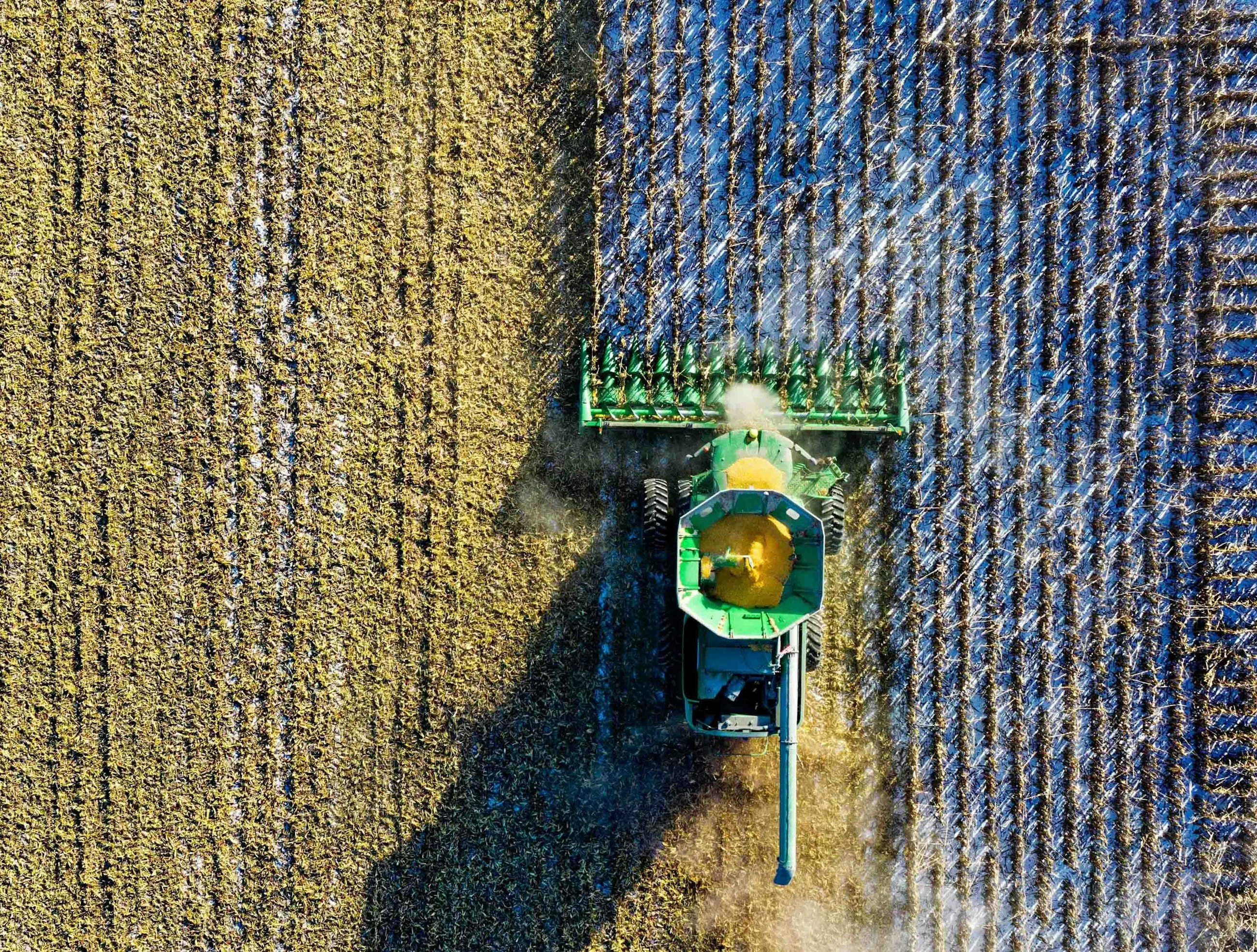 Pexels tom fisk 1595108