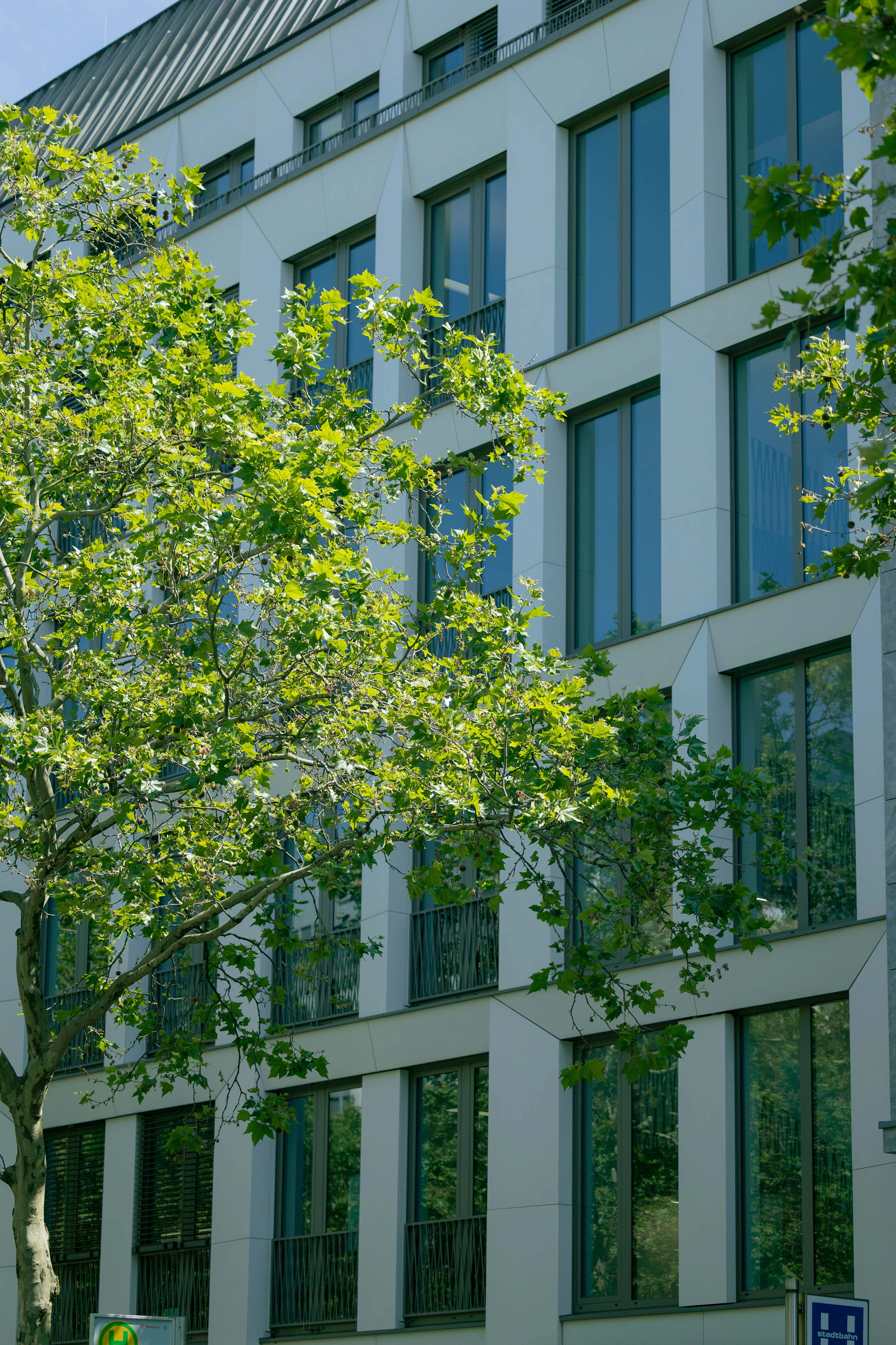 260618 Office vibes Dusseldorf 080