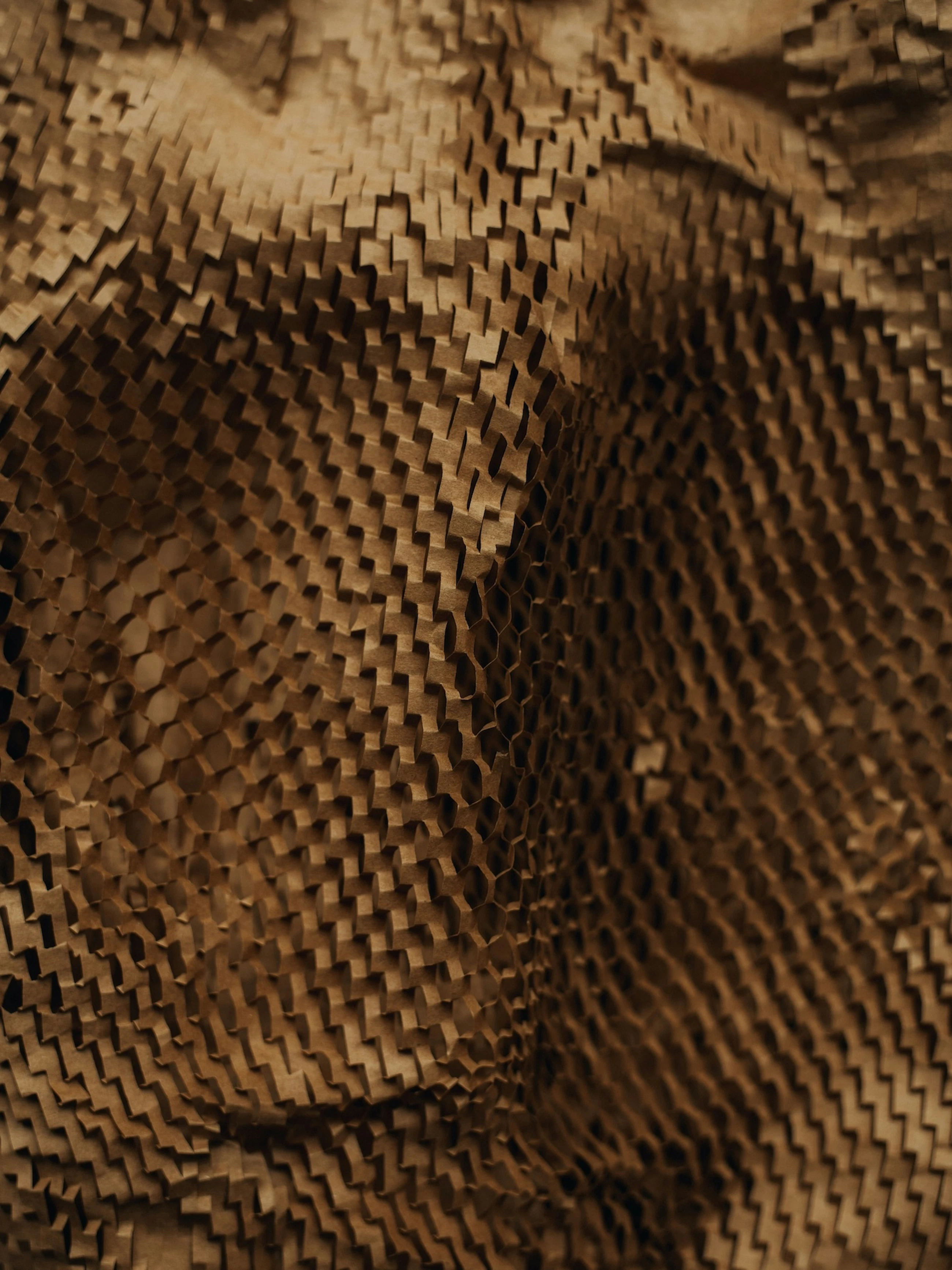 Annie spratt Ixvv3 Y Zkd7w unsplash