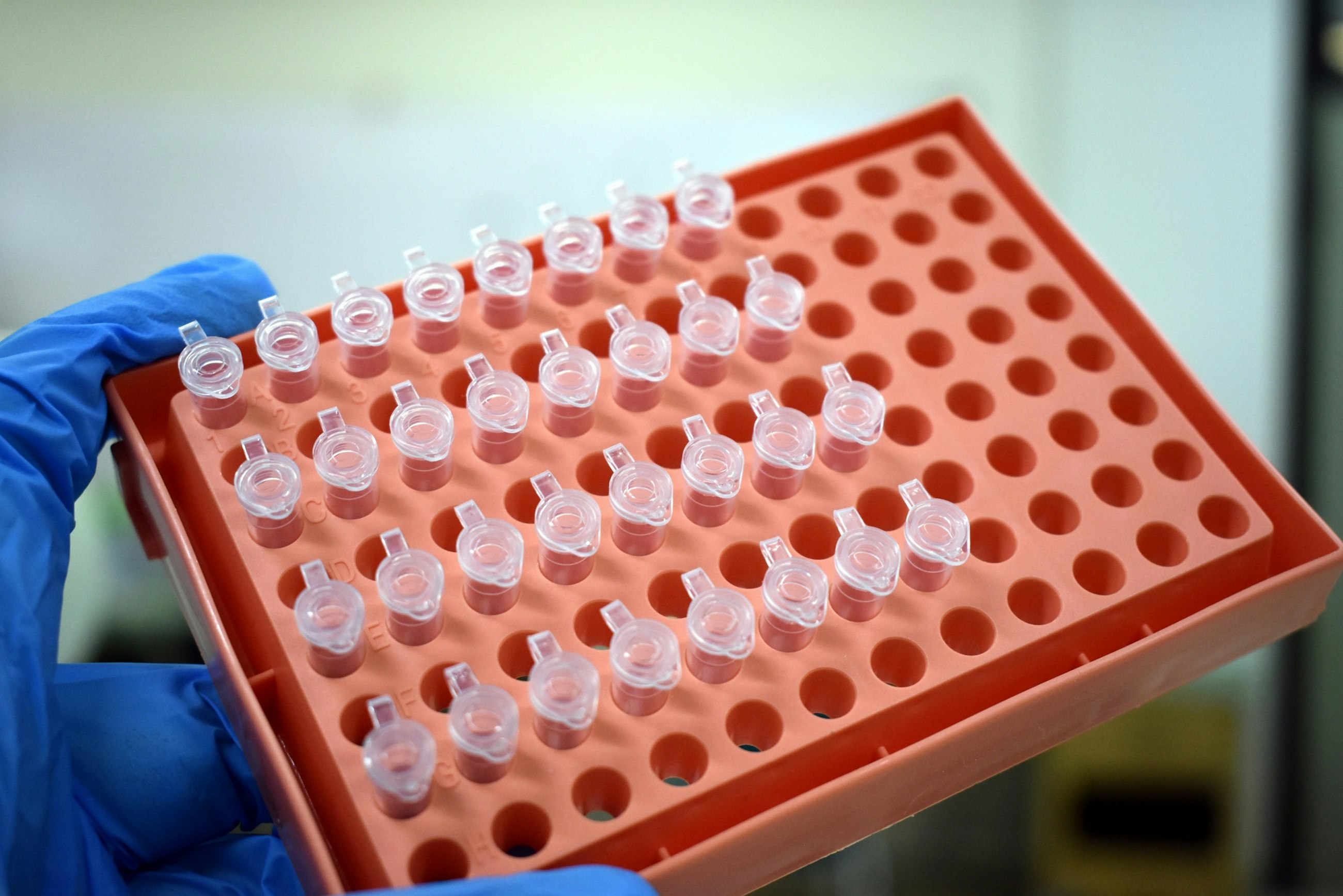 Eka p amdela Jcs YP0 I Jvn I unsplash